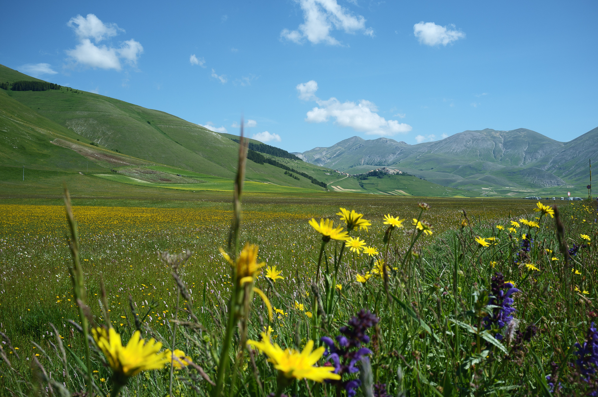 Pian Grande e Castelluccio