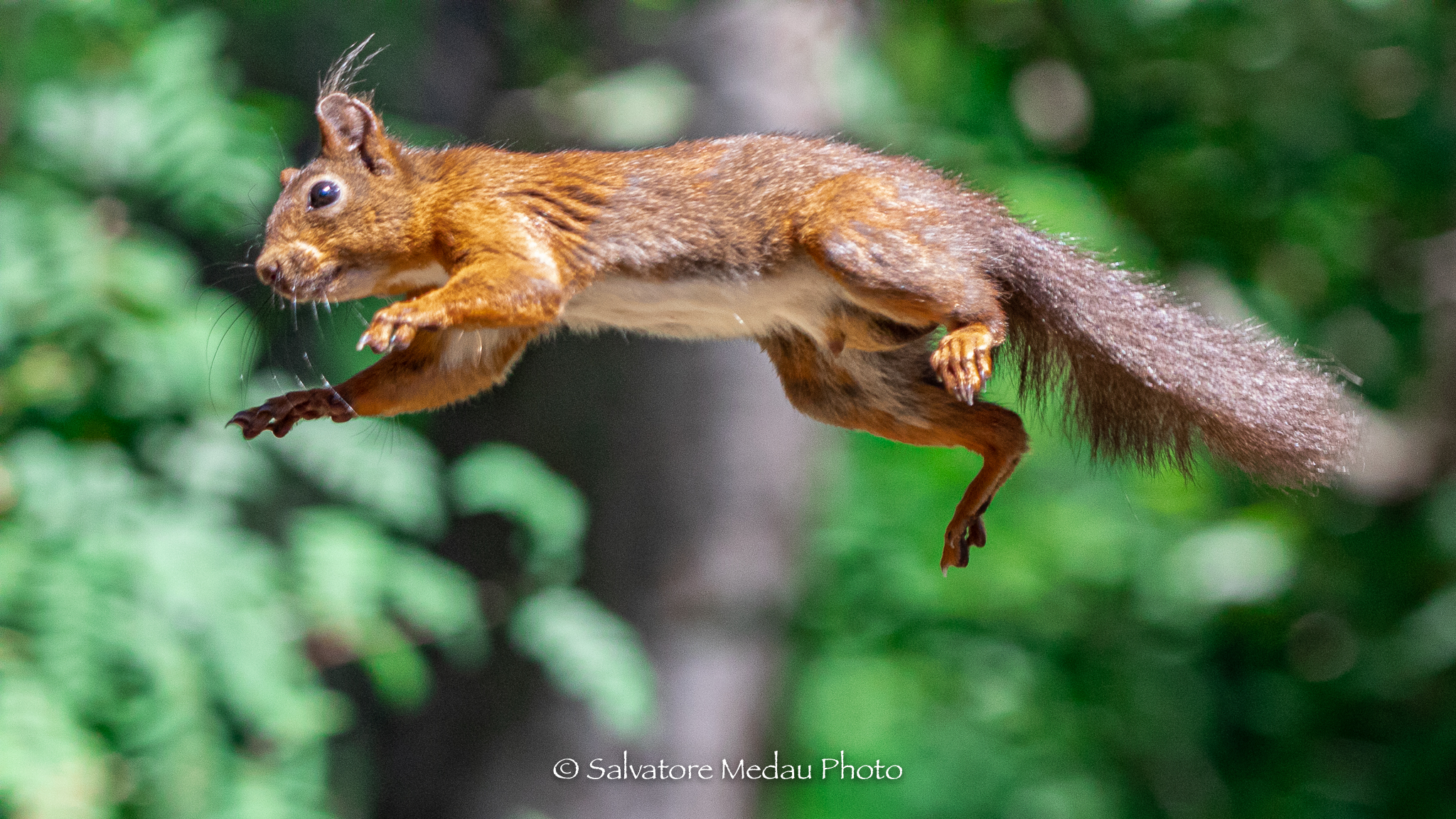 Suspended in a vacuum