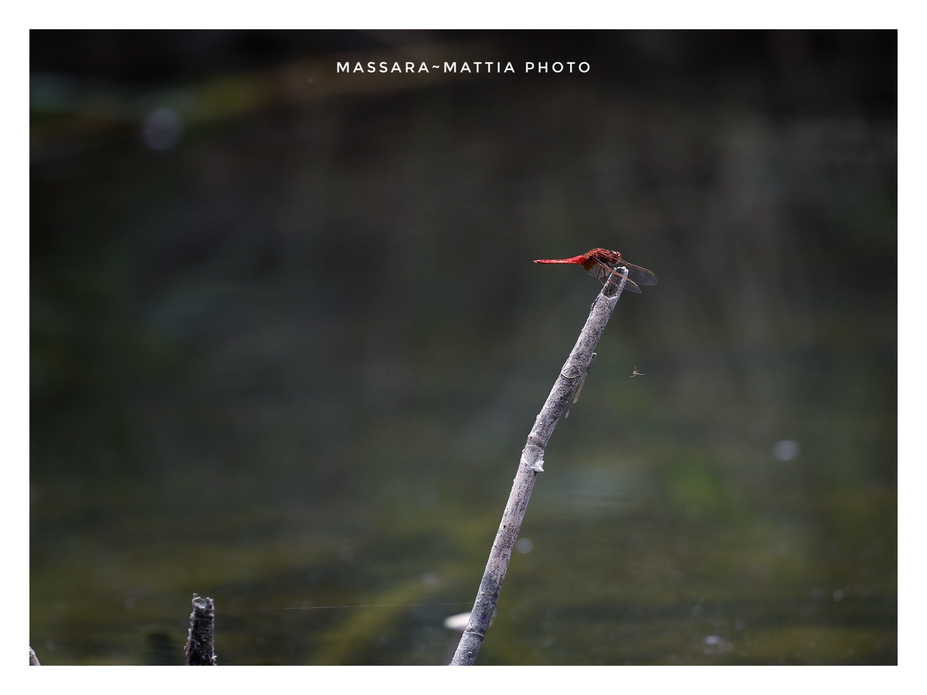 Untitled Photo