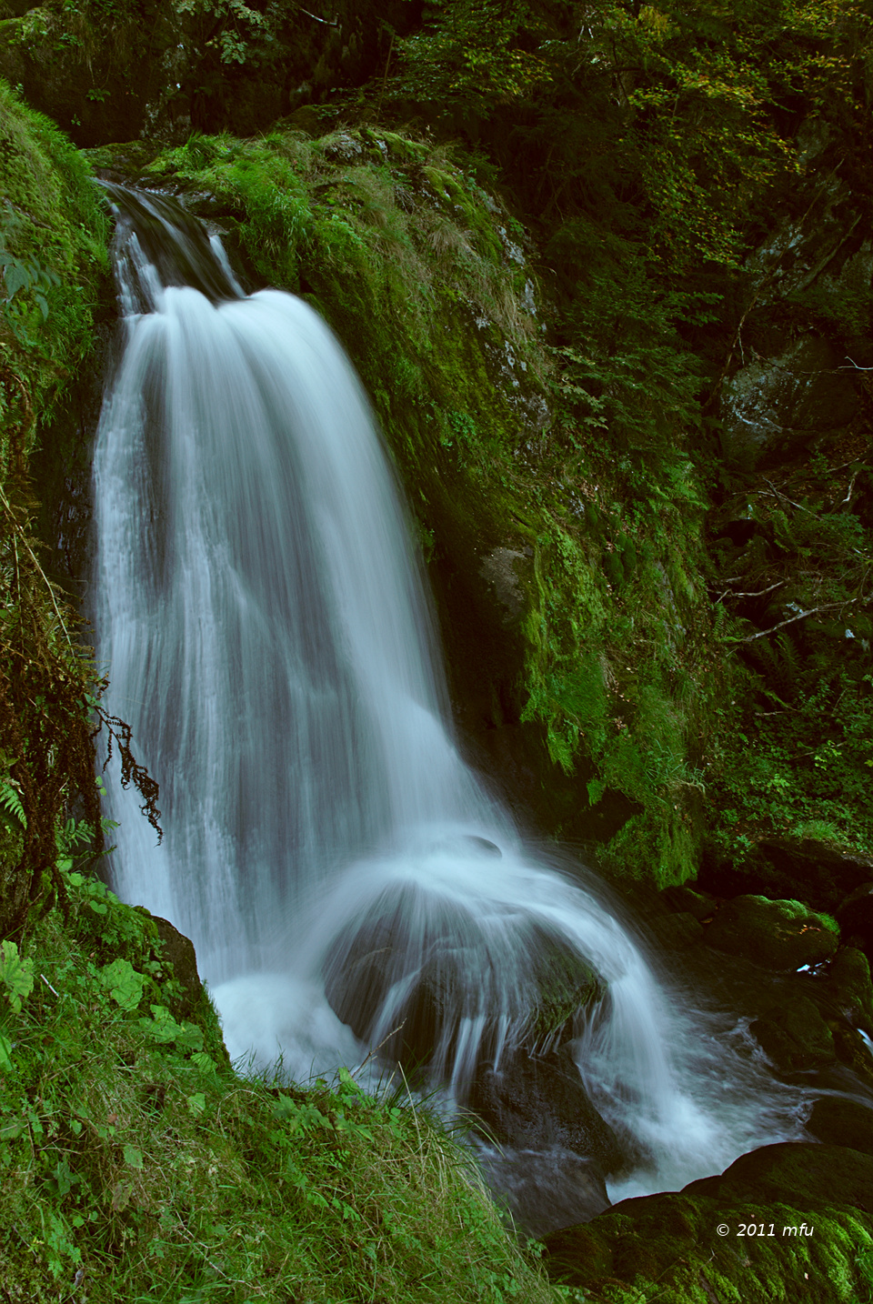 Triberg Falls, with correct tint for comparison
