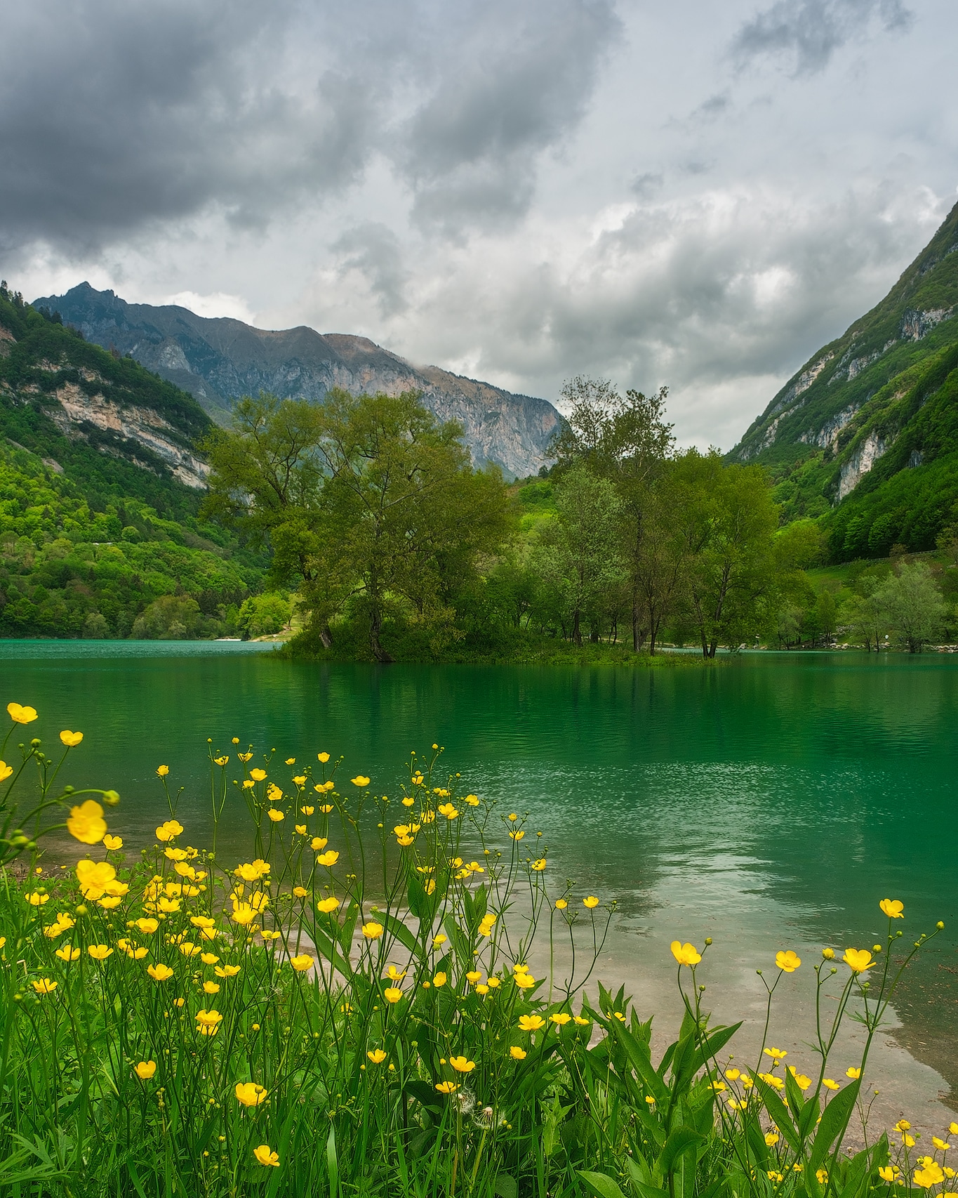 Flowers on the small green lake