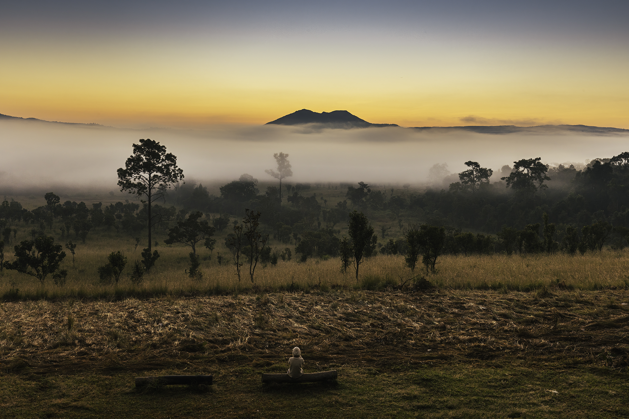 Savana mattutina Thailandia