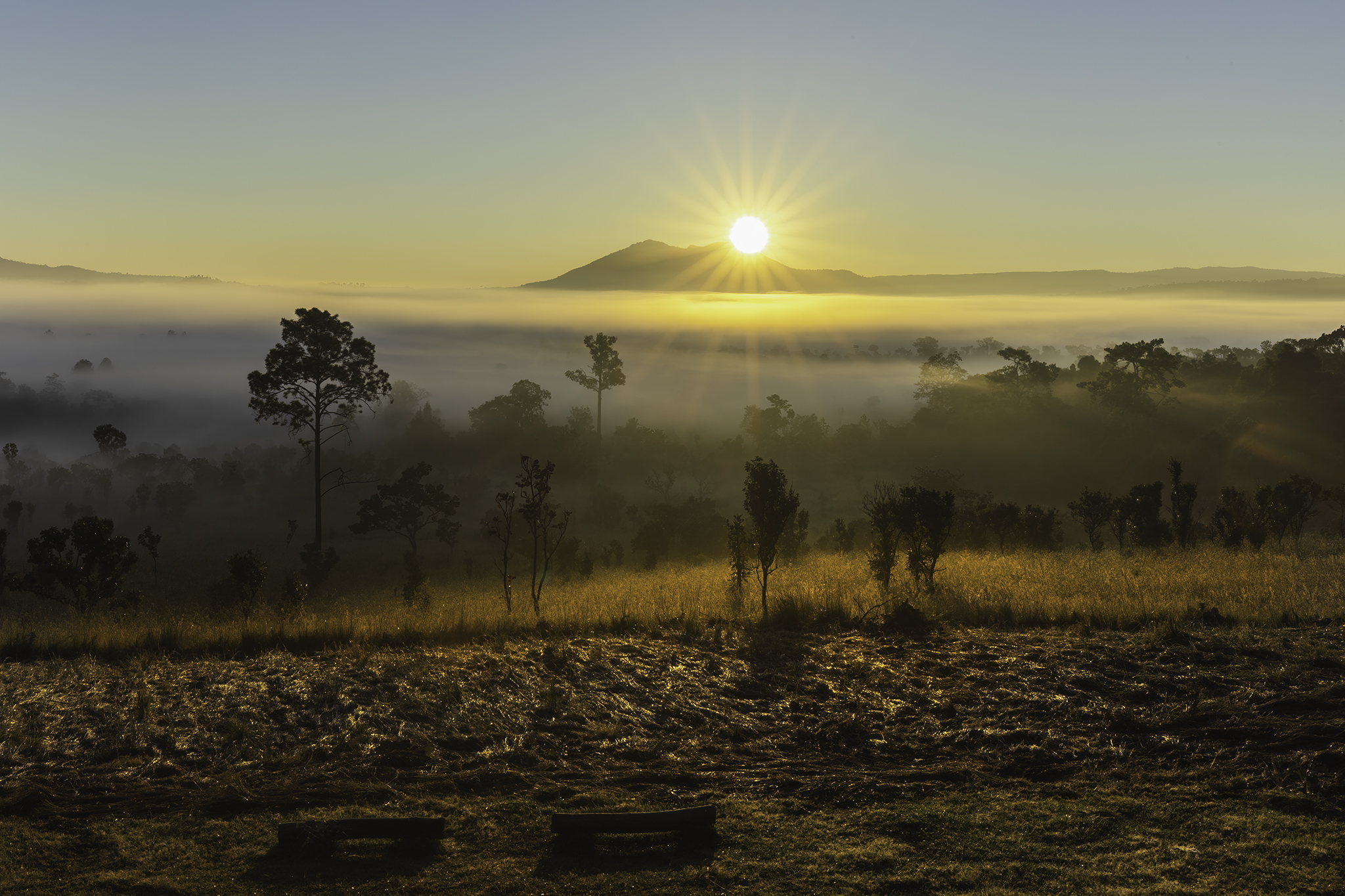 Sunshiny thung Salaeng Luang Parco Nazionale Thailandia