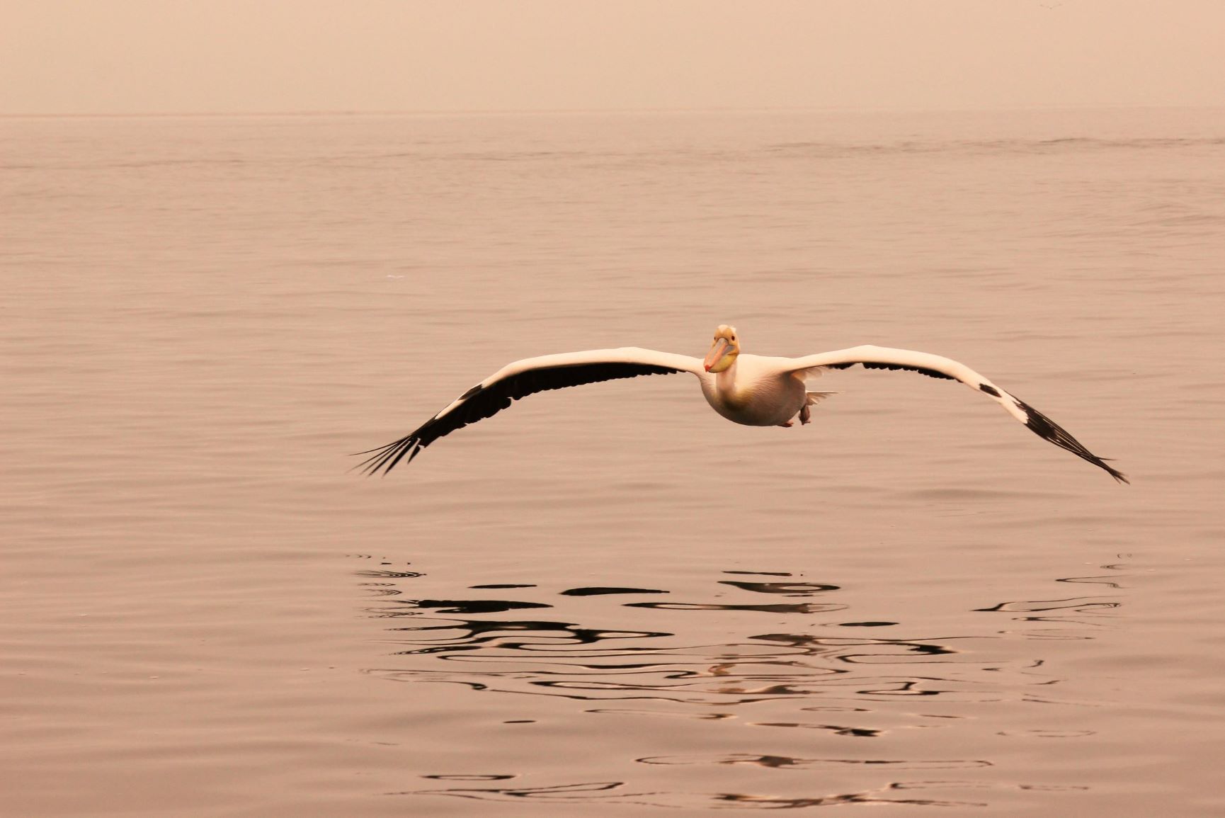 Al tramonto l'idrovolante ritorna alla base