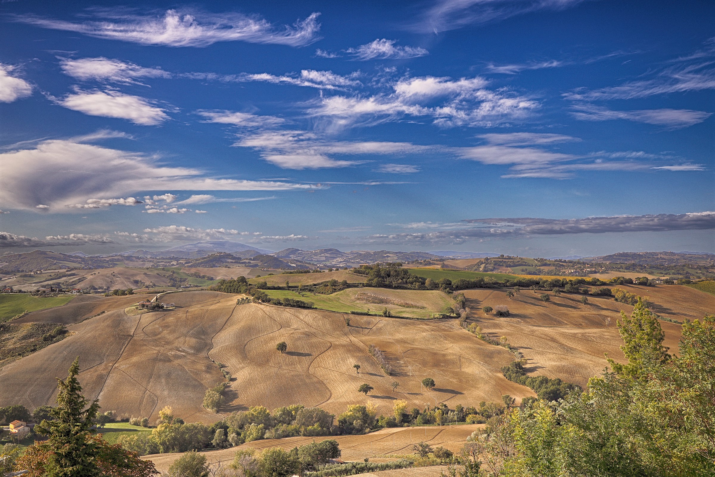 Colline del Pesarese