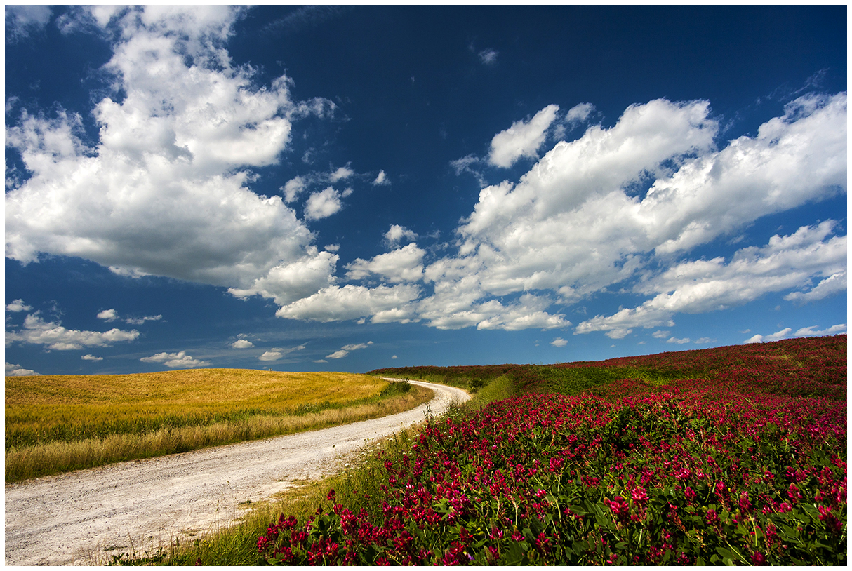 Tuscany countryside.
