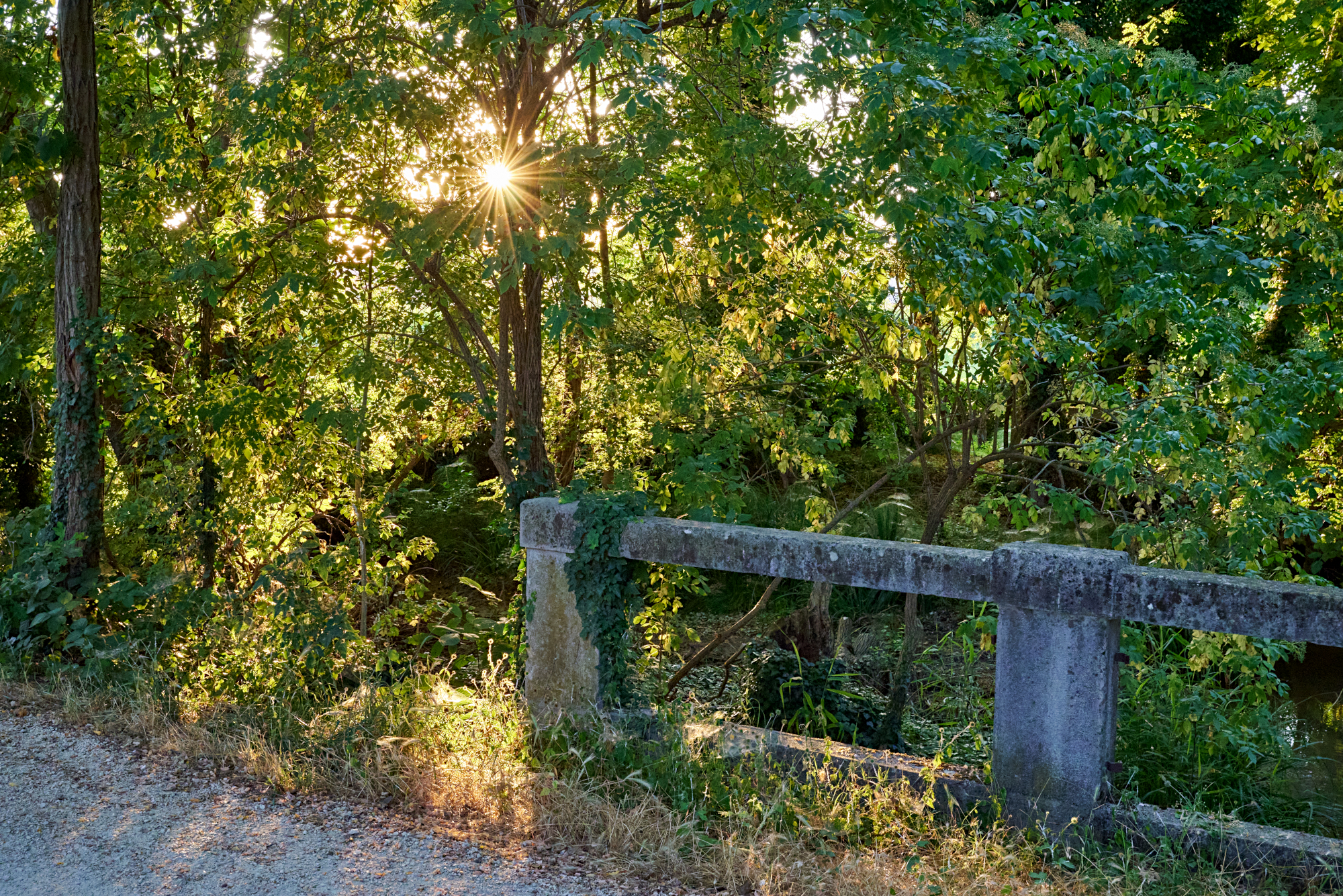 Treviso-Ostiglia cycle and pedestrian track