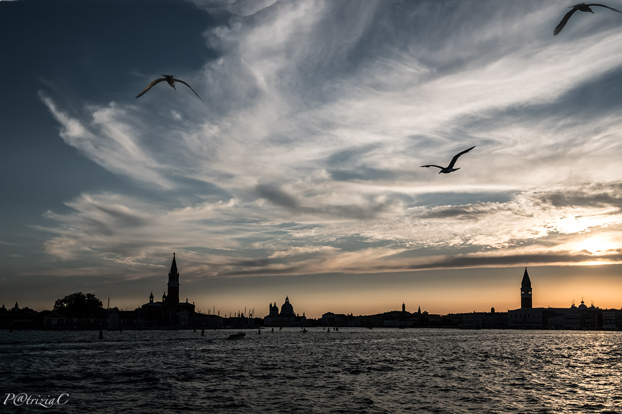 __silhouette veneziane__