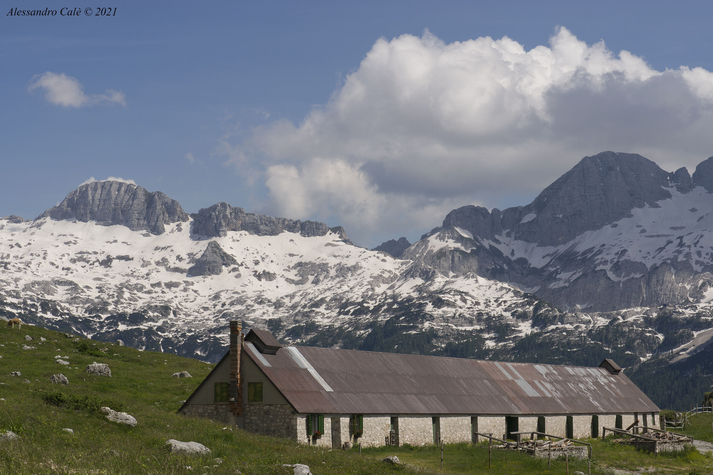 Malga and in the background Canin Group 2055
