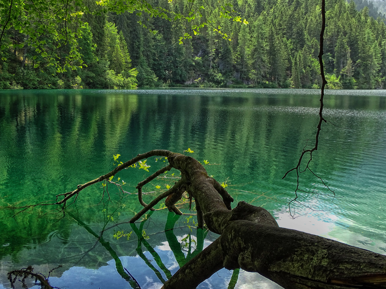 The Guardian of the Lake