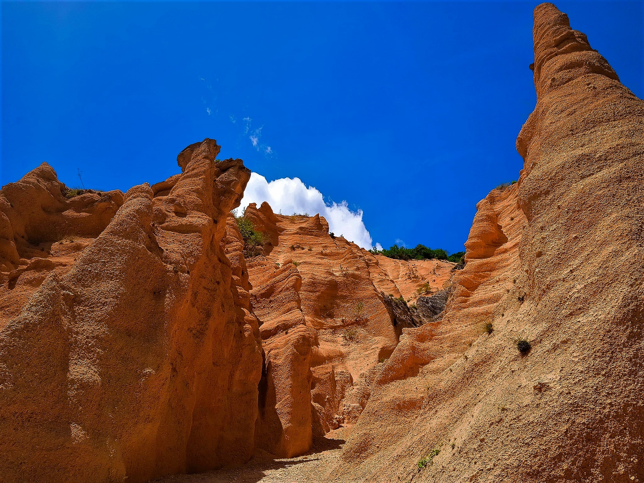 lame rosse