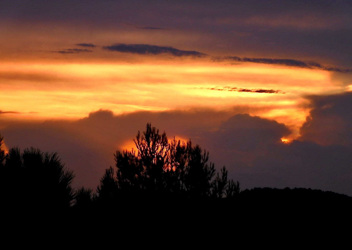 Untitled Photo