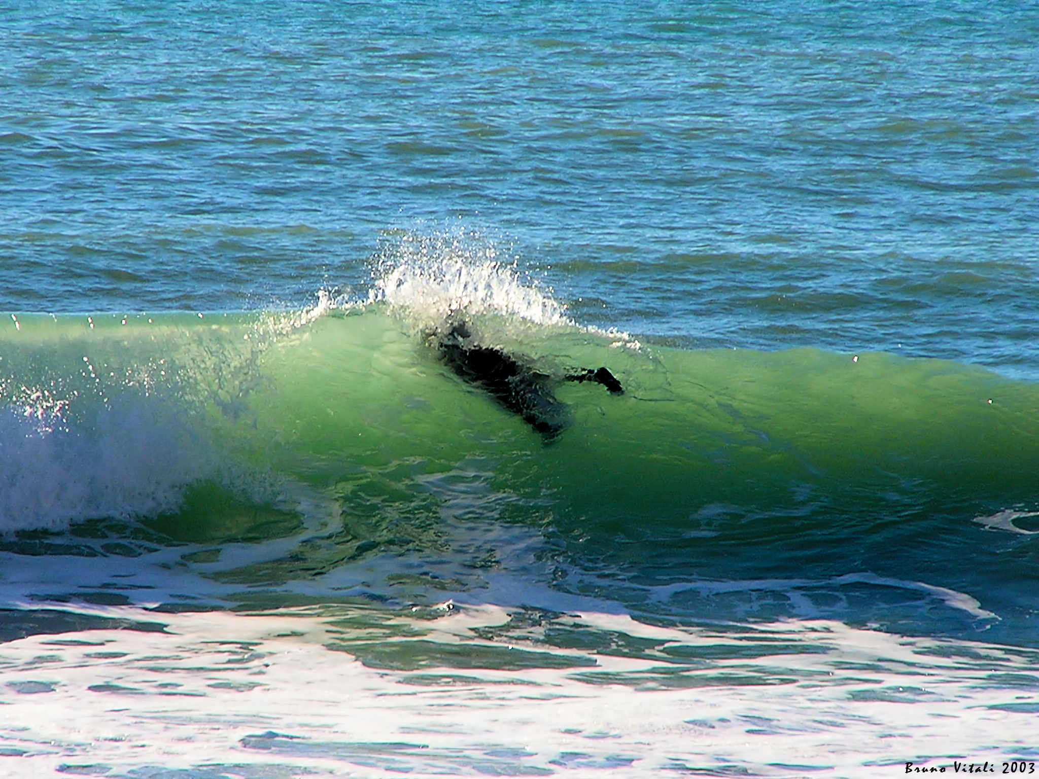 Surf a Levanto