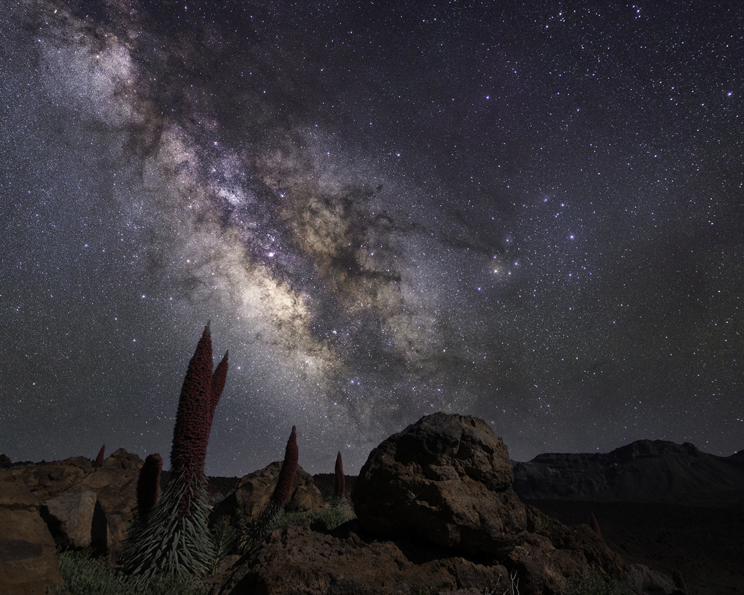 tajinaste sotto Via Lattea