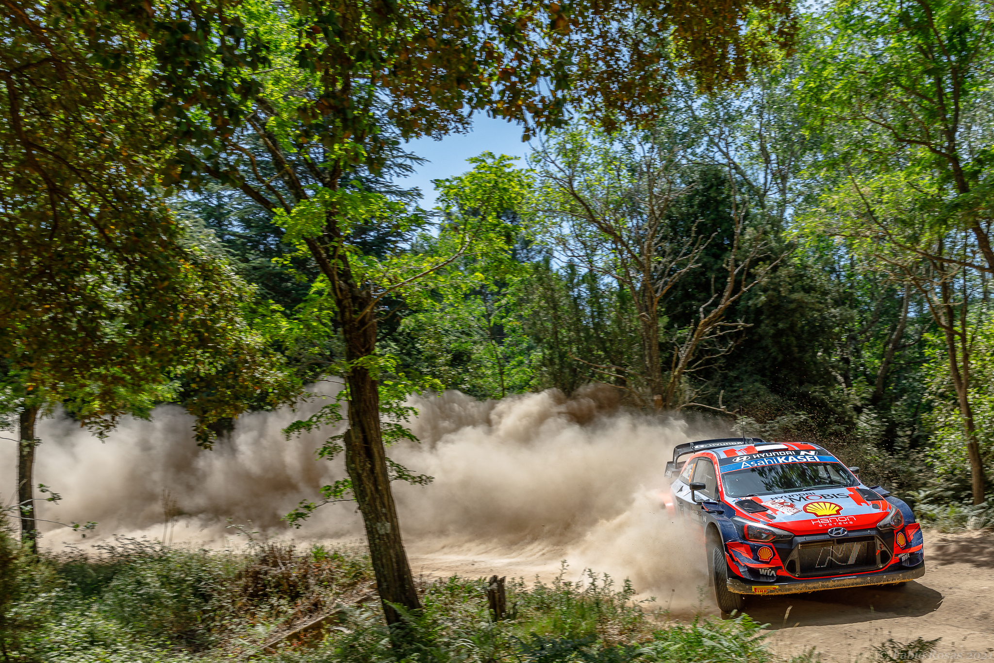 Of ''traverse'' in the woods