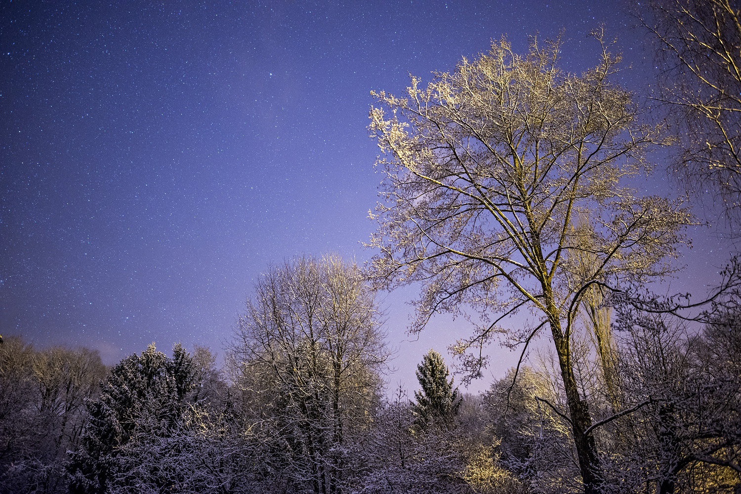 Night after a snowy day