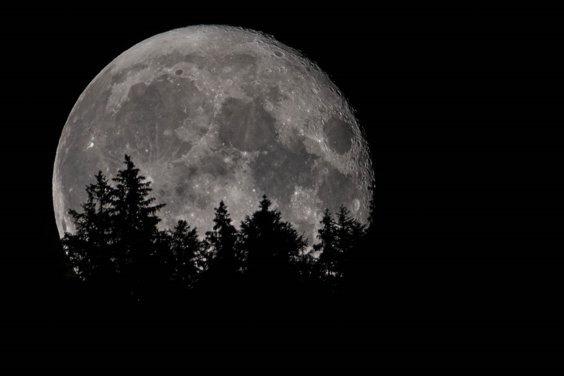 il balletto della luna