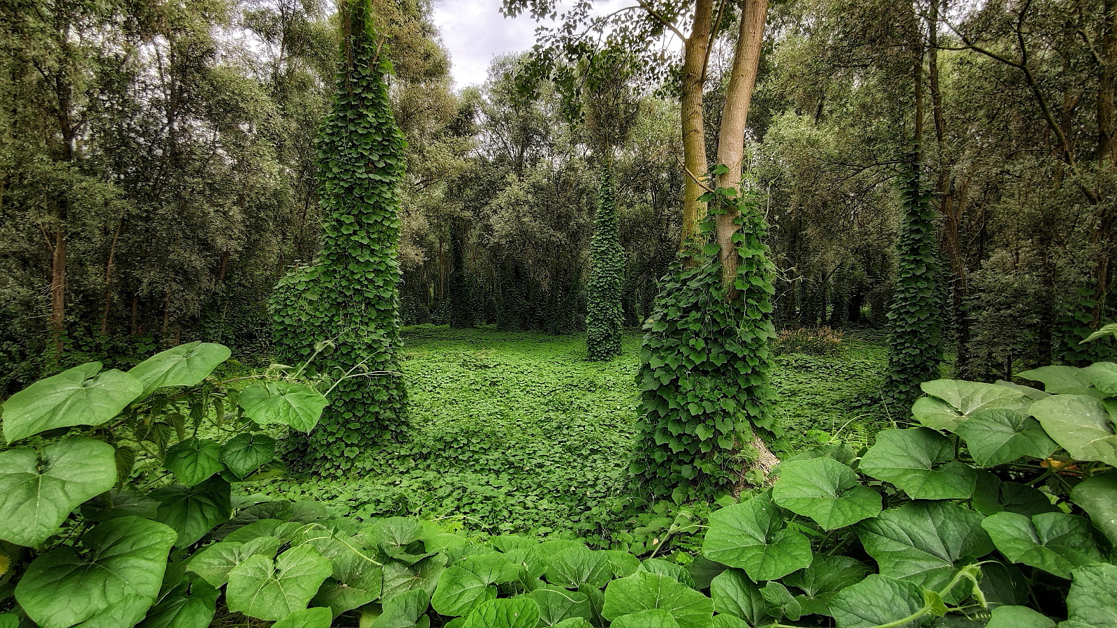 The magic of the Po gorge.