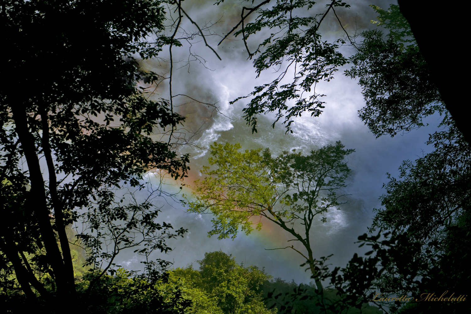 the tree inside the waterfall