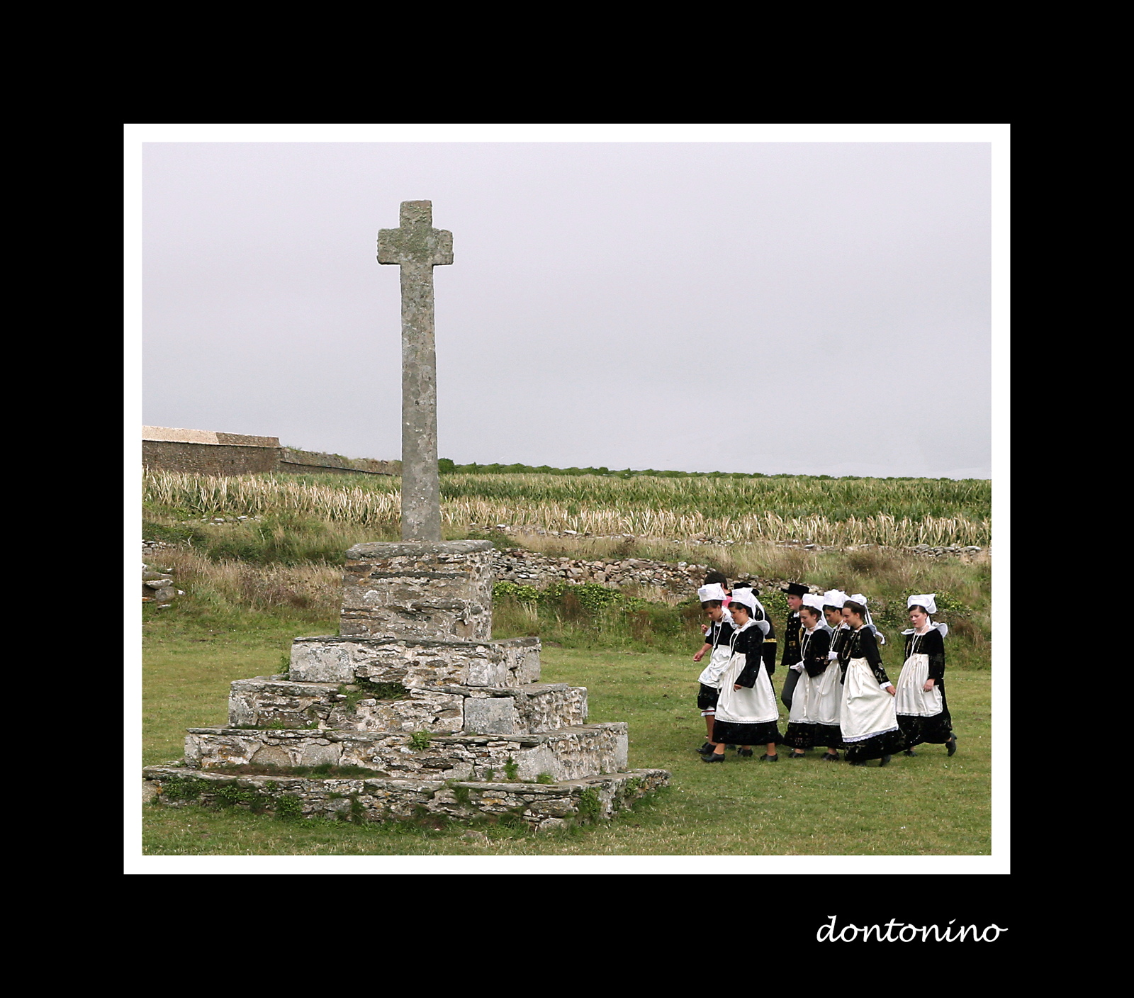 the day of celebration