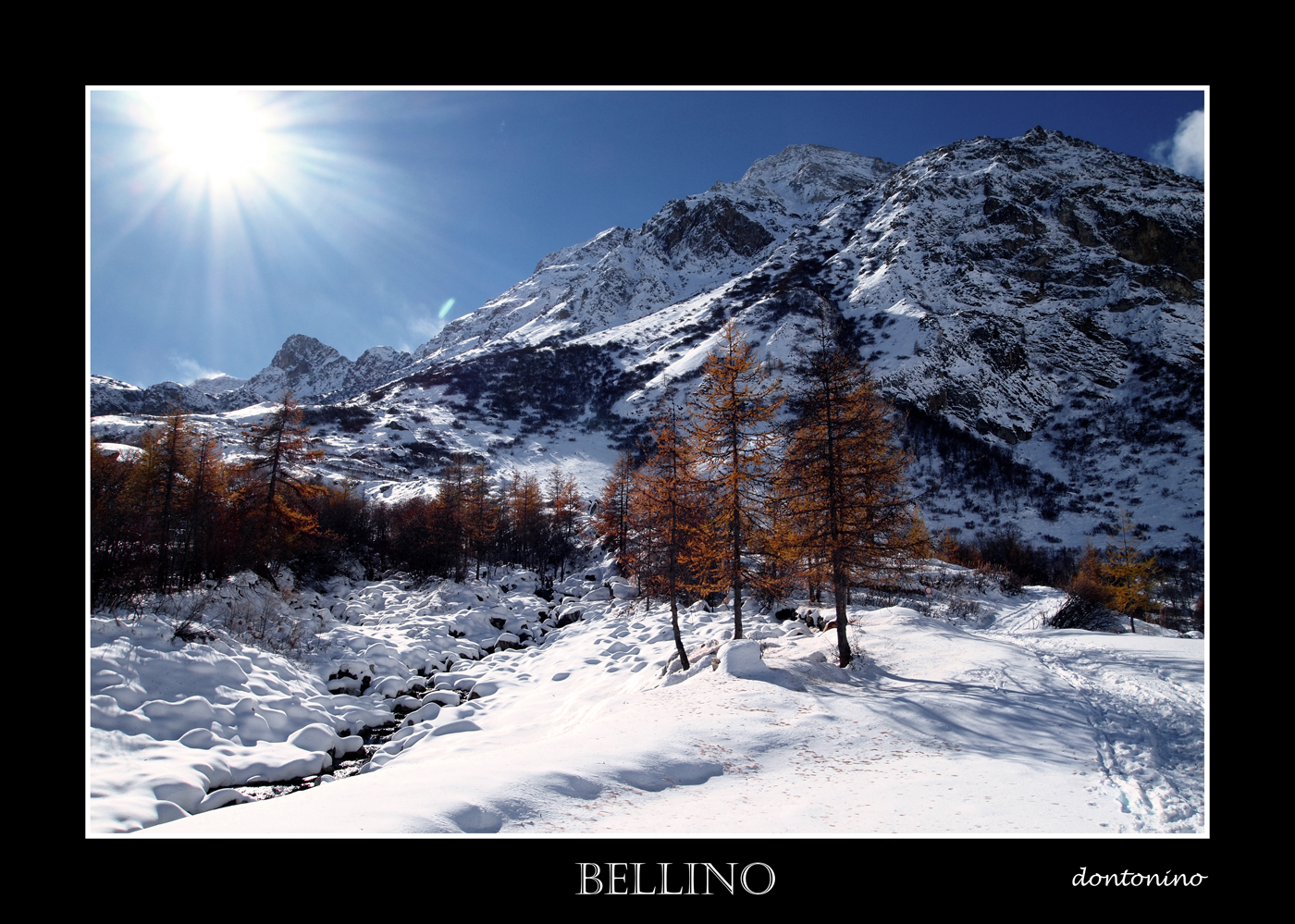 bellino