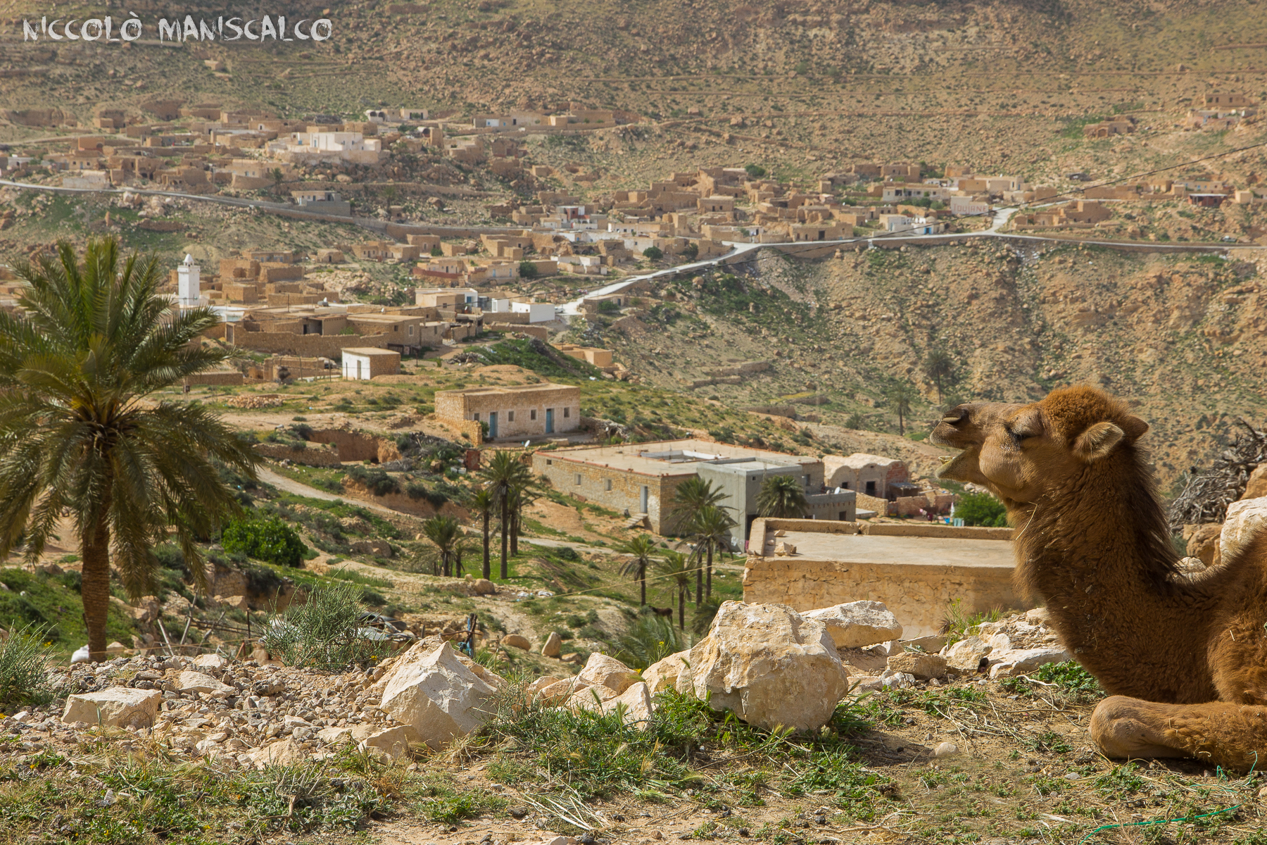 Cartolina da Toujane