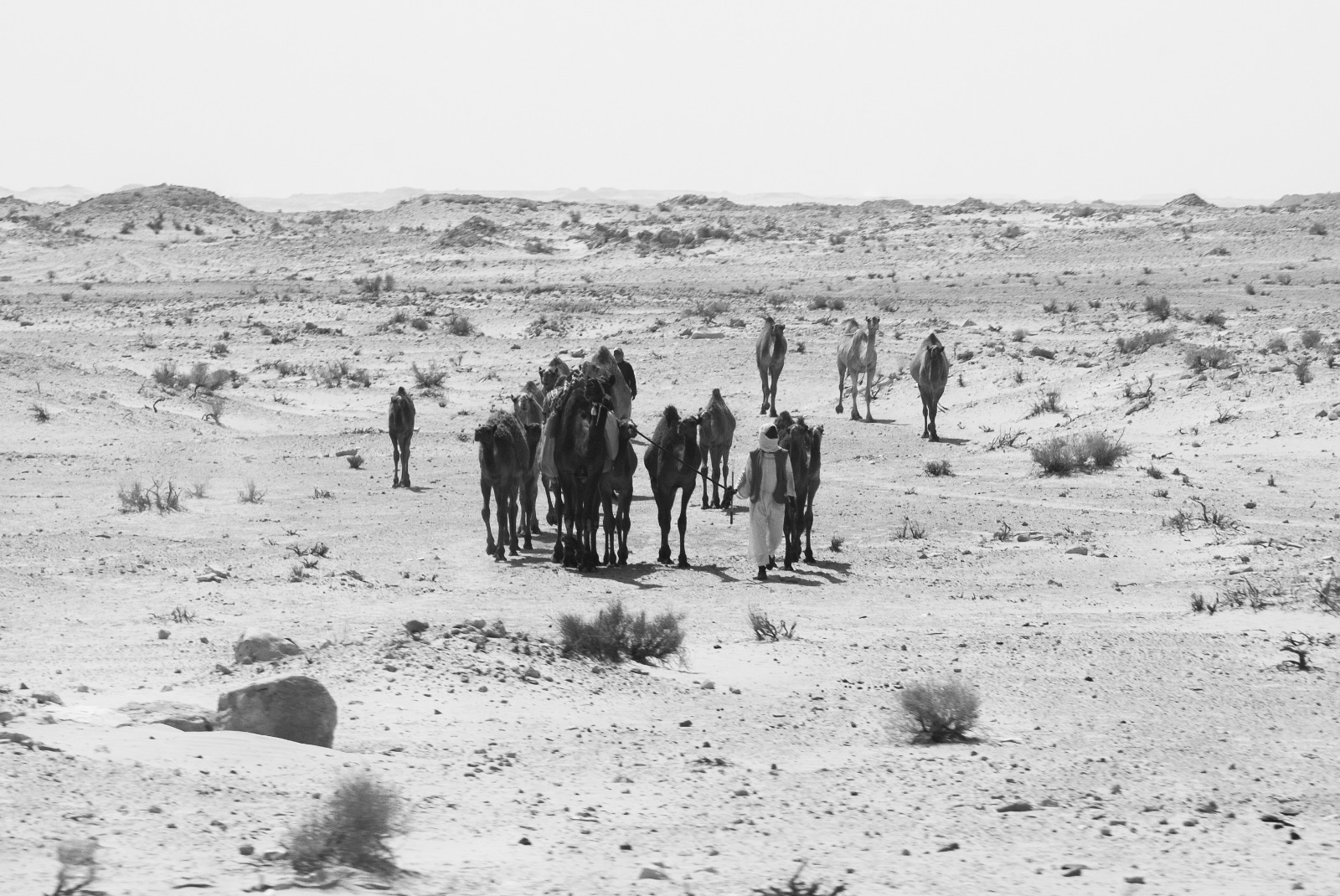 Caravan Saudi Arabia