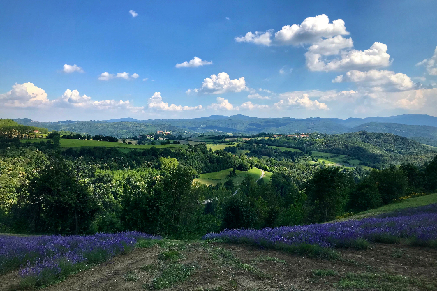 Anche questa é Langa