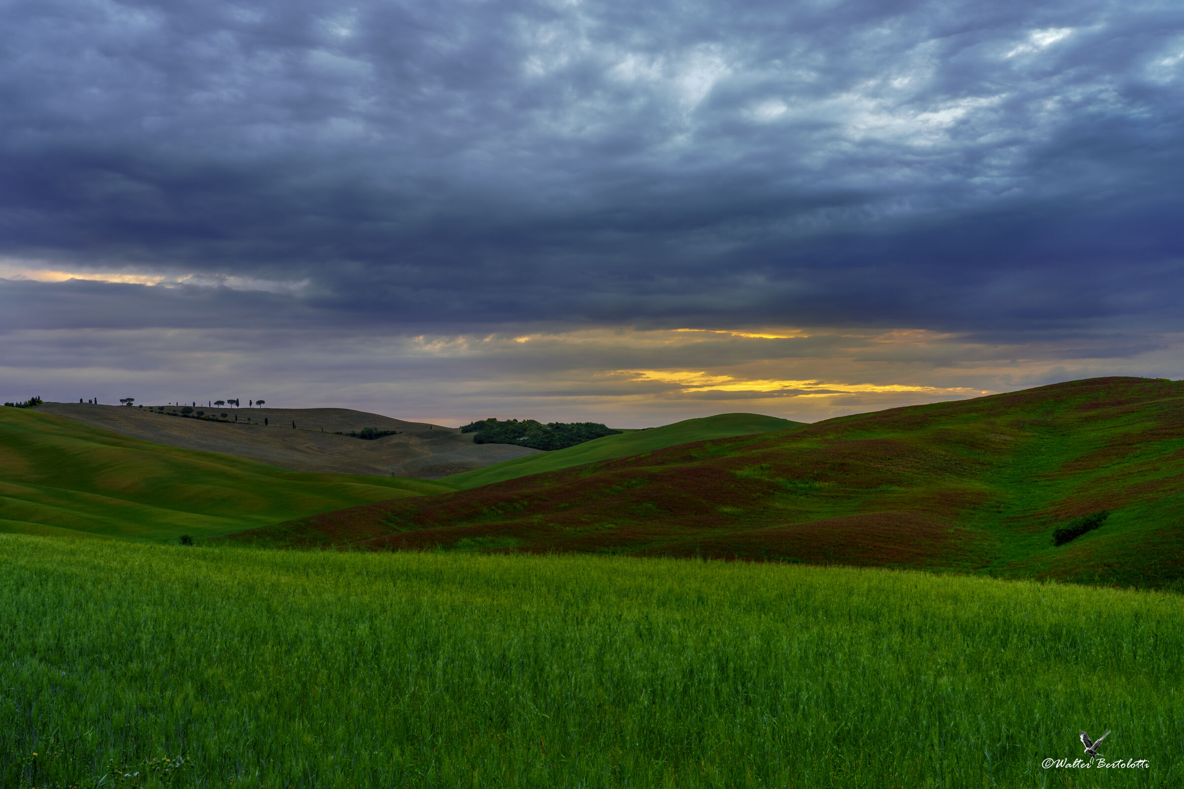 le dolci colline toscane