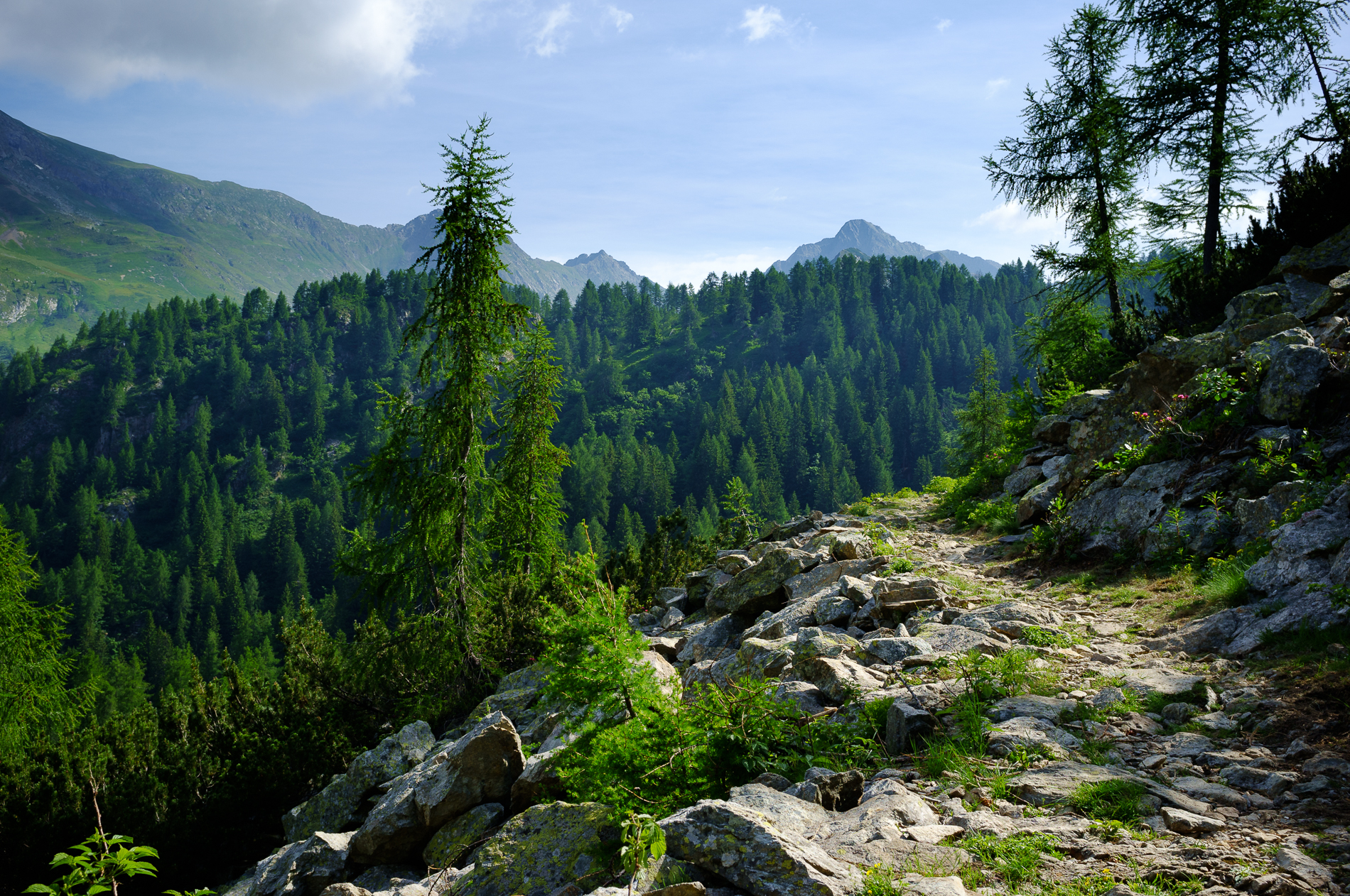 Semplicemente Orobie