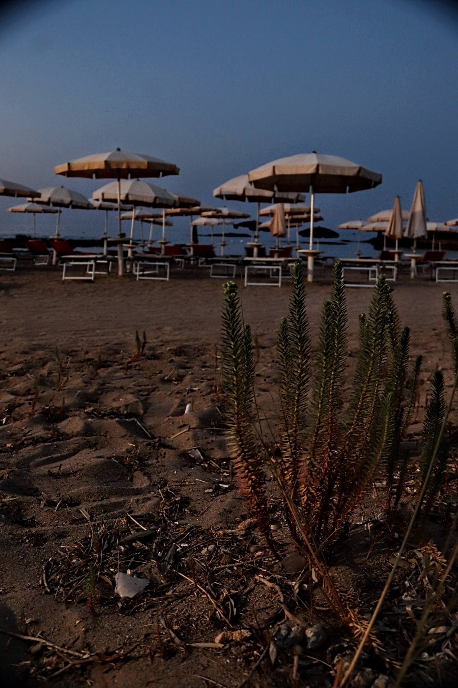 puglia