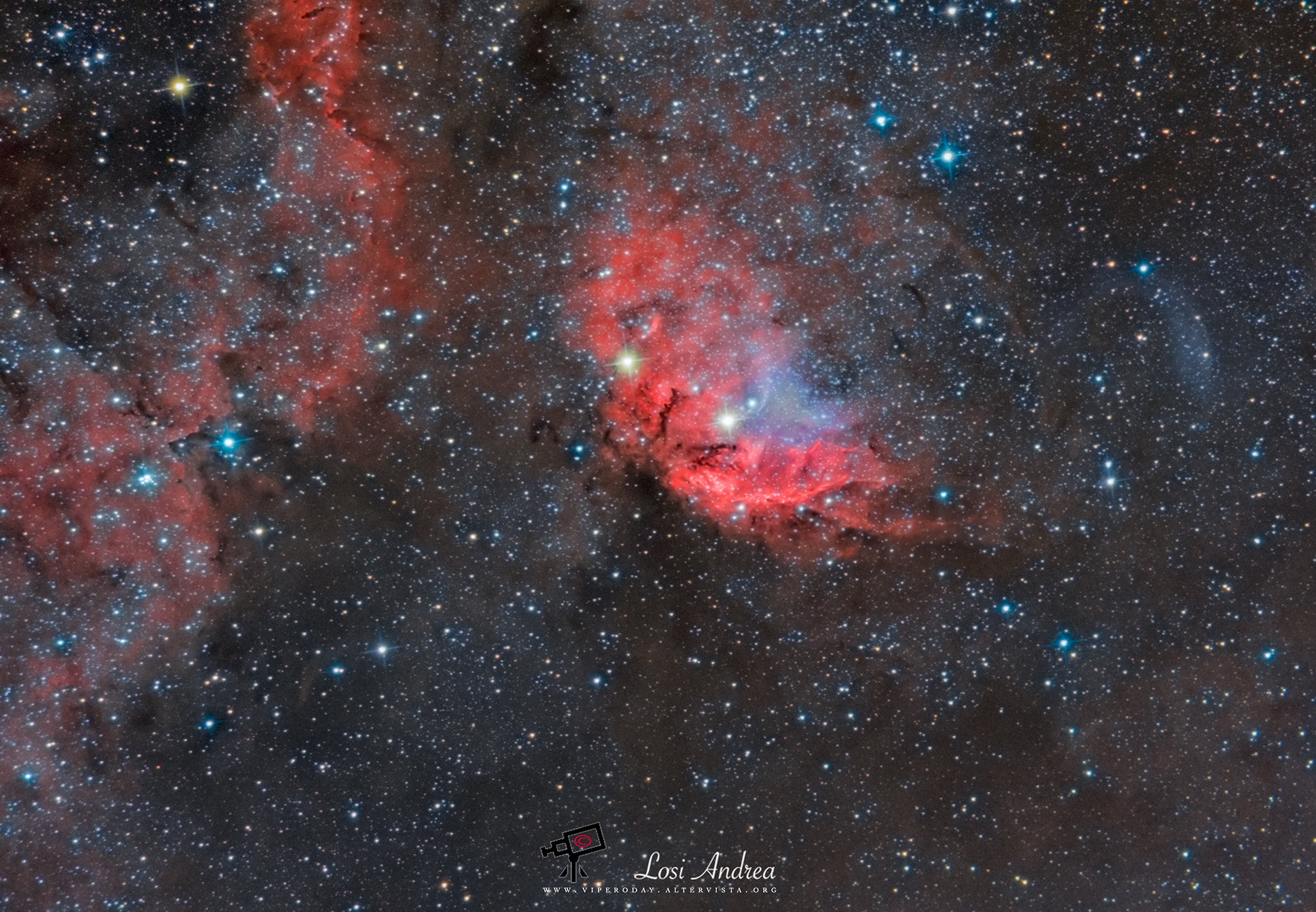 La Nebulosa Tulipano