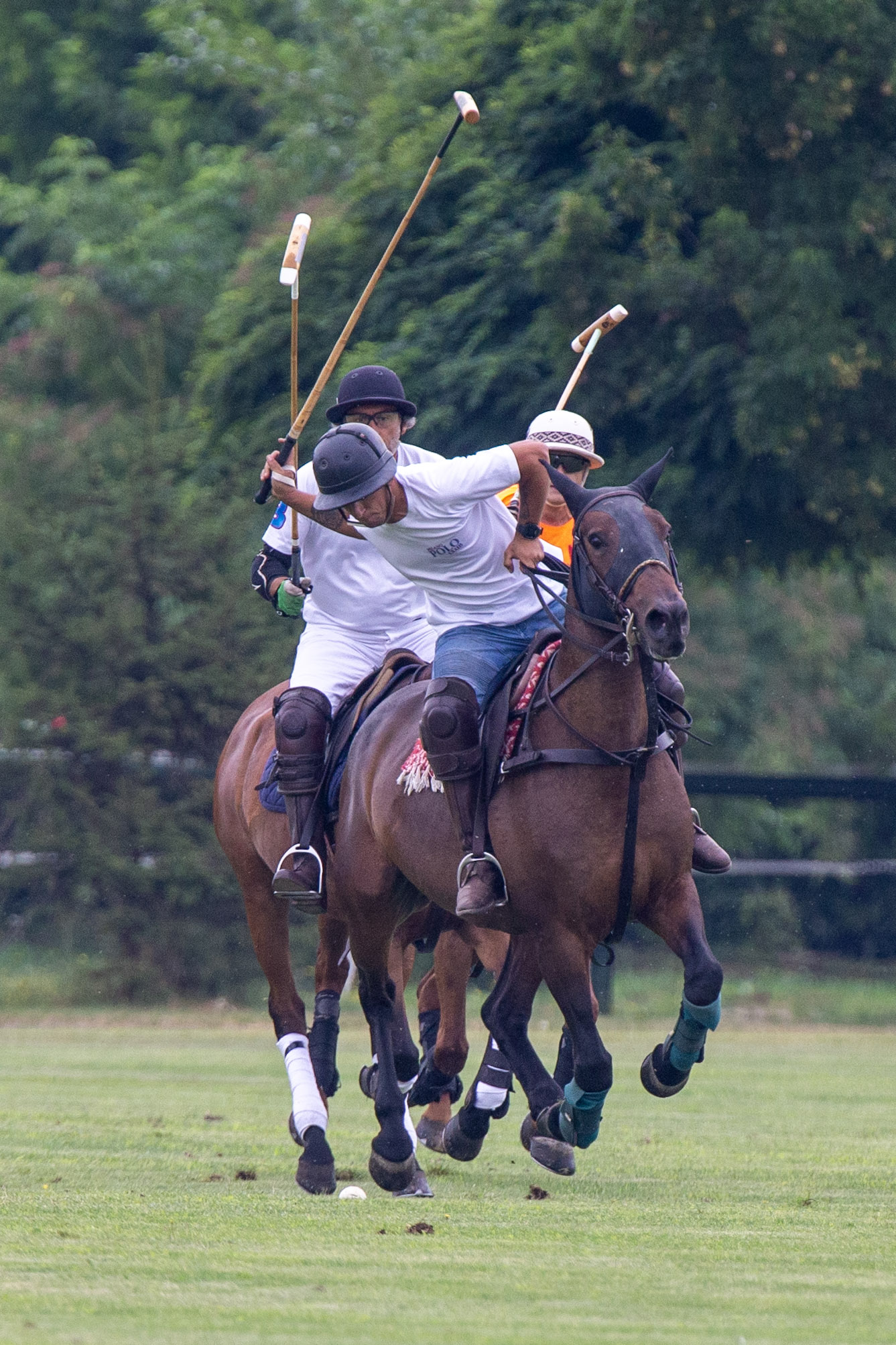un cavallo per tre cavalieri