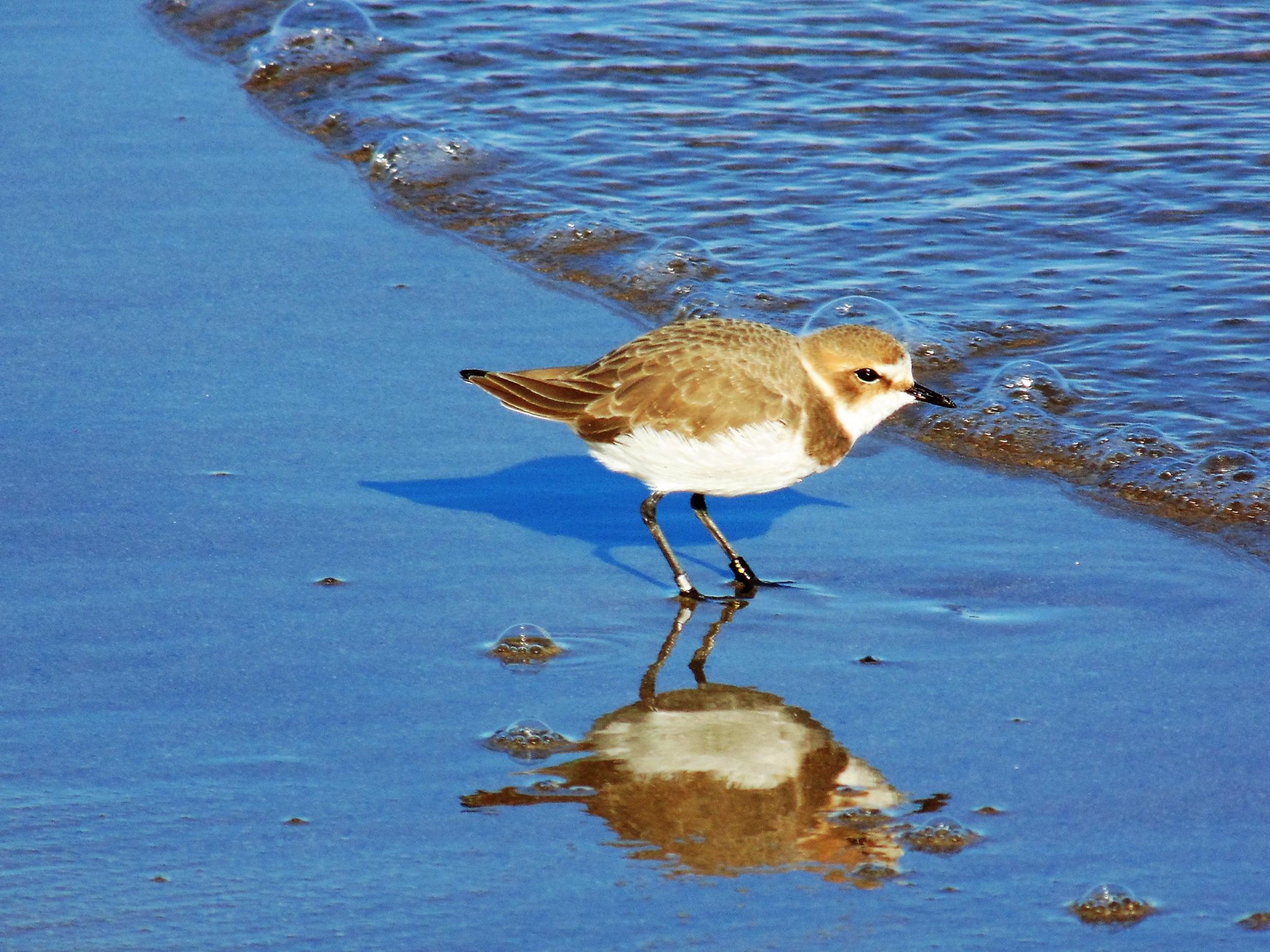 In cerca di refrigerio