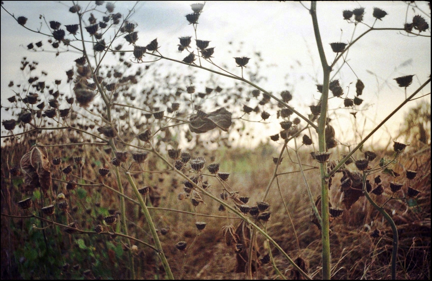 l'ultimo giorno d'estate ;/)