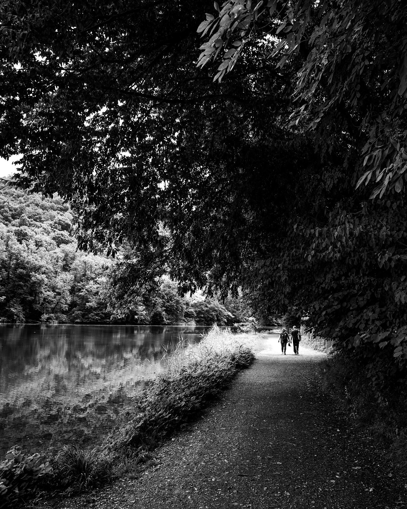 Walking