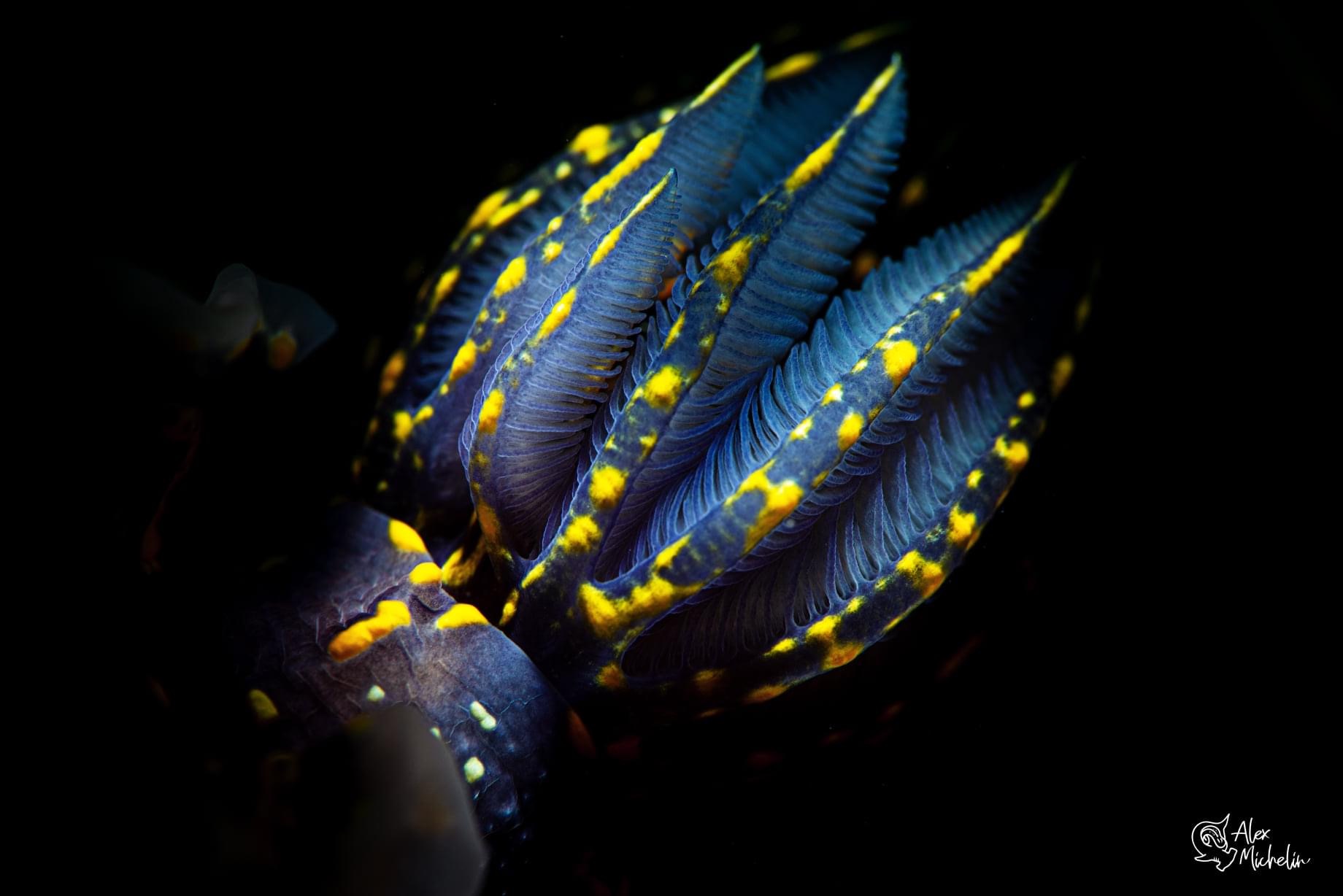 I dettagli sono quelli che contano