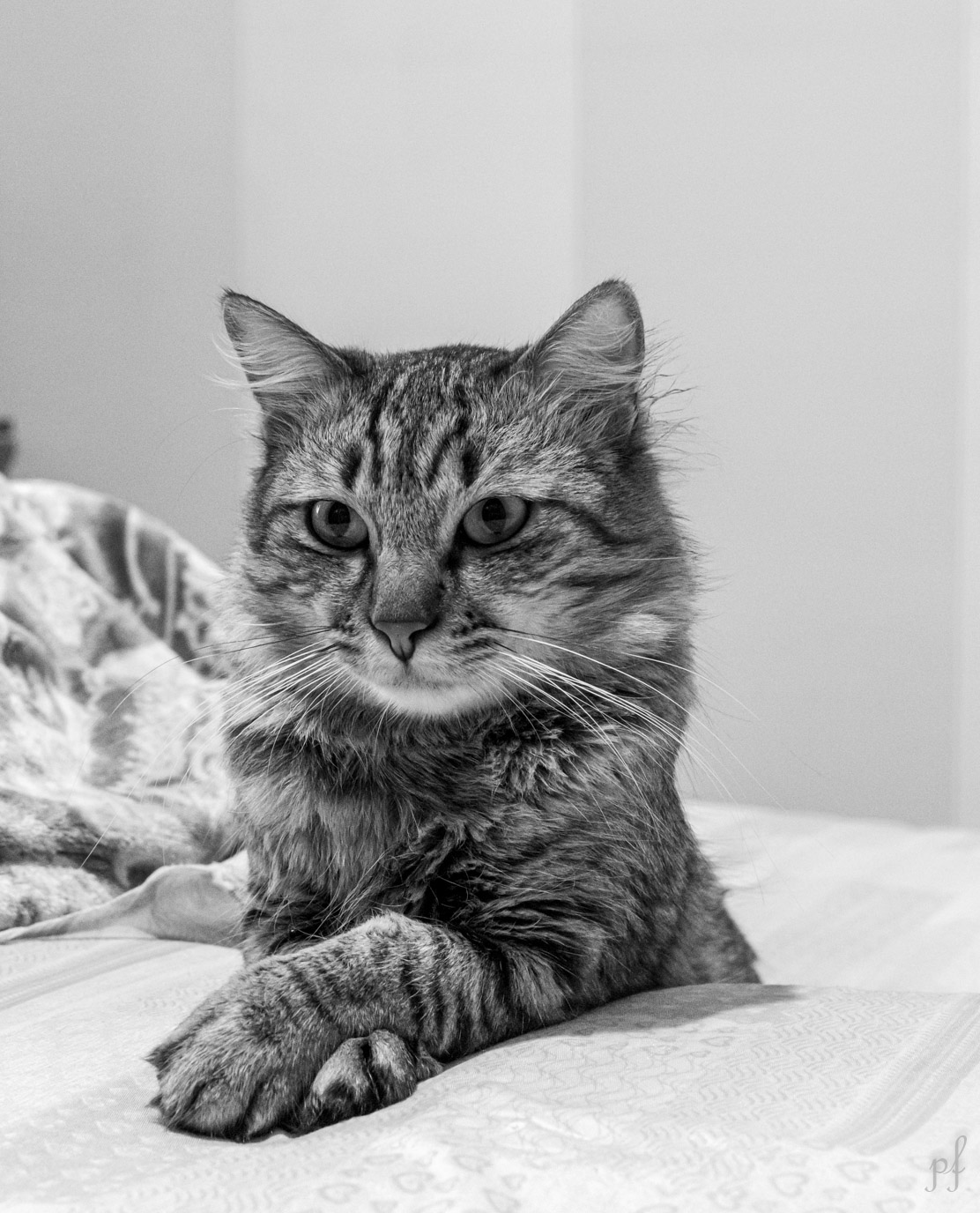 Romeo in black and white