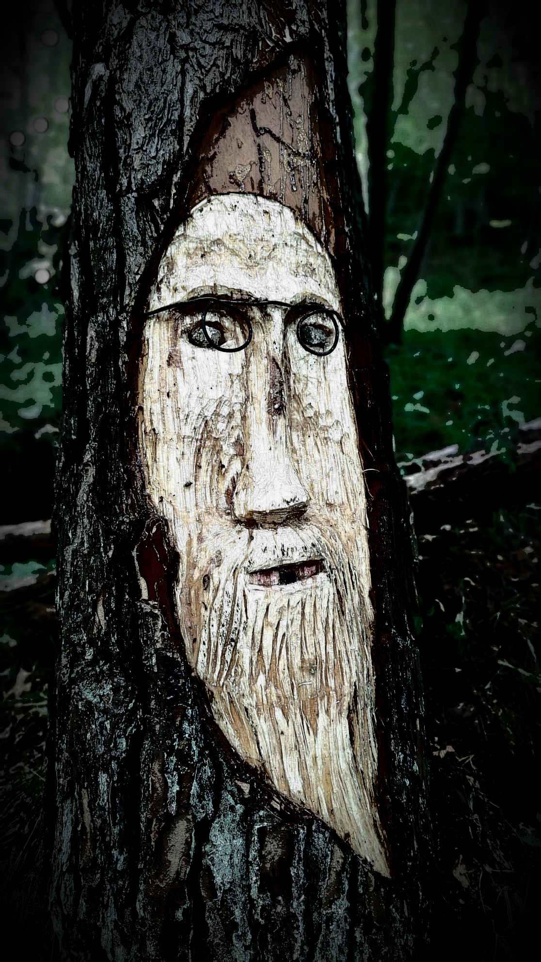 The keeper of the forest