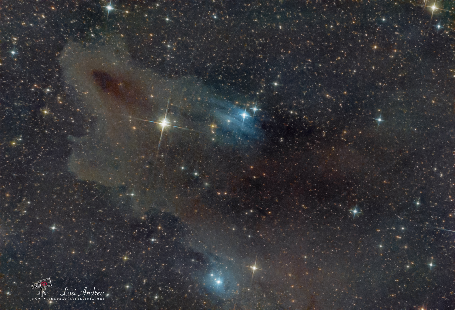 LDN 1235: Dark Shark Nebula