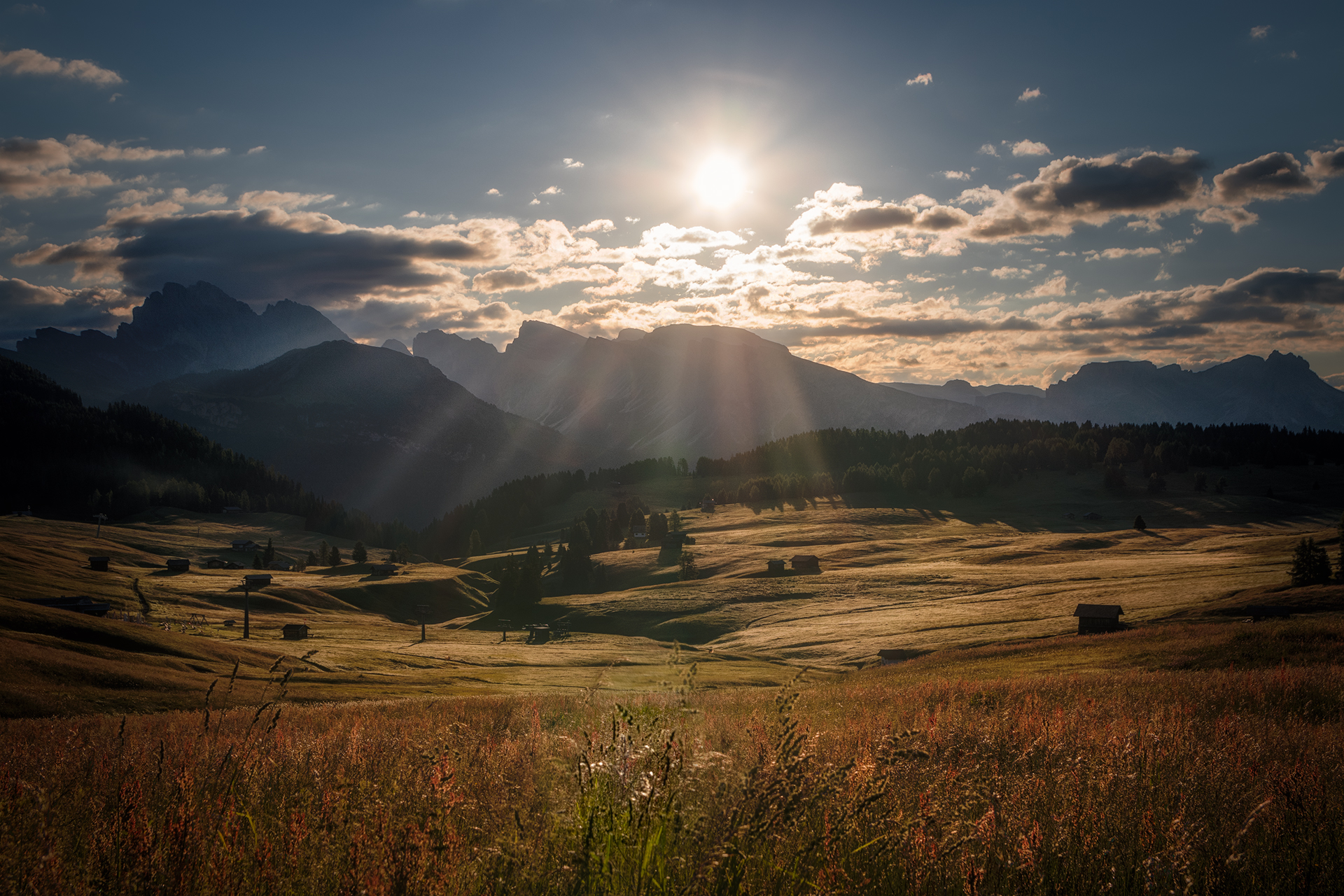 In the morning light