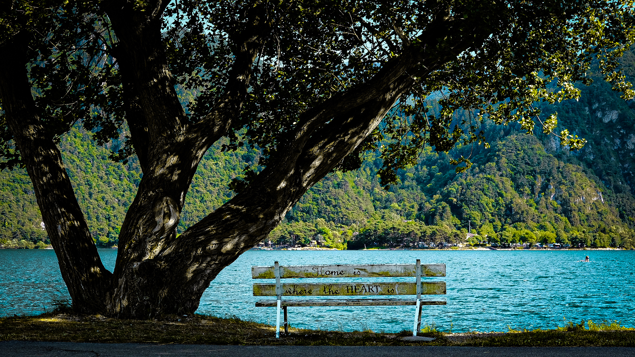 Enjoy The Silence