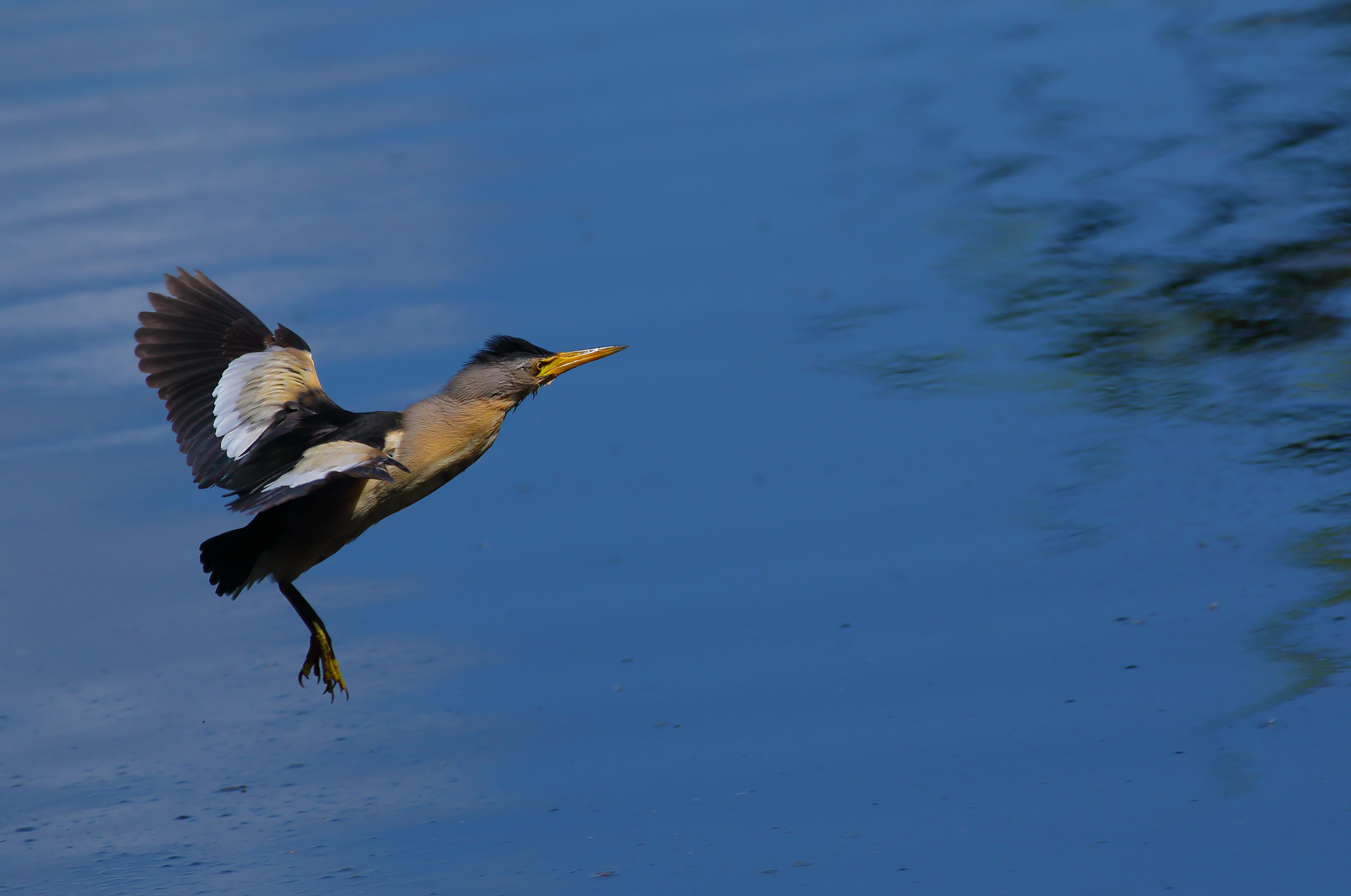 crossing