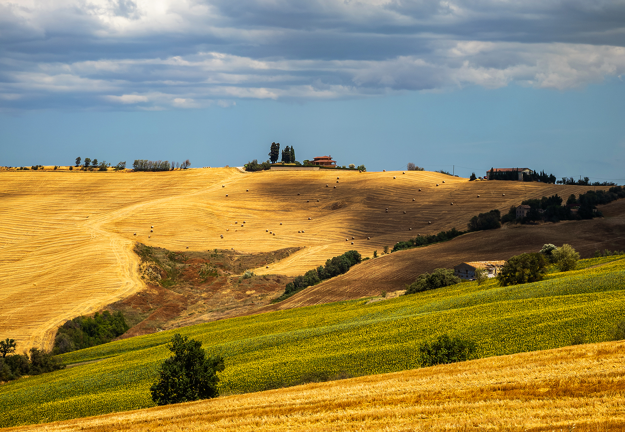 campagna marchigiana