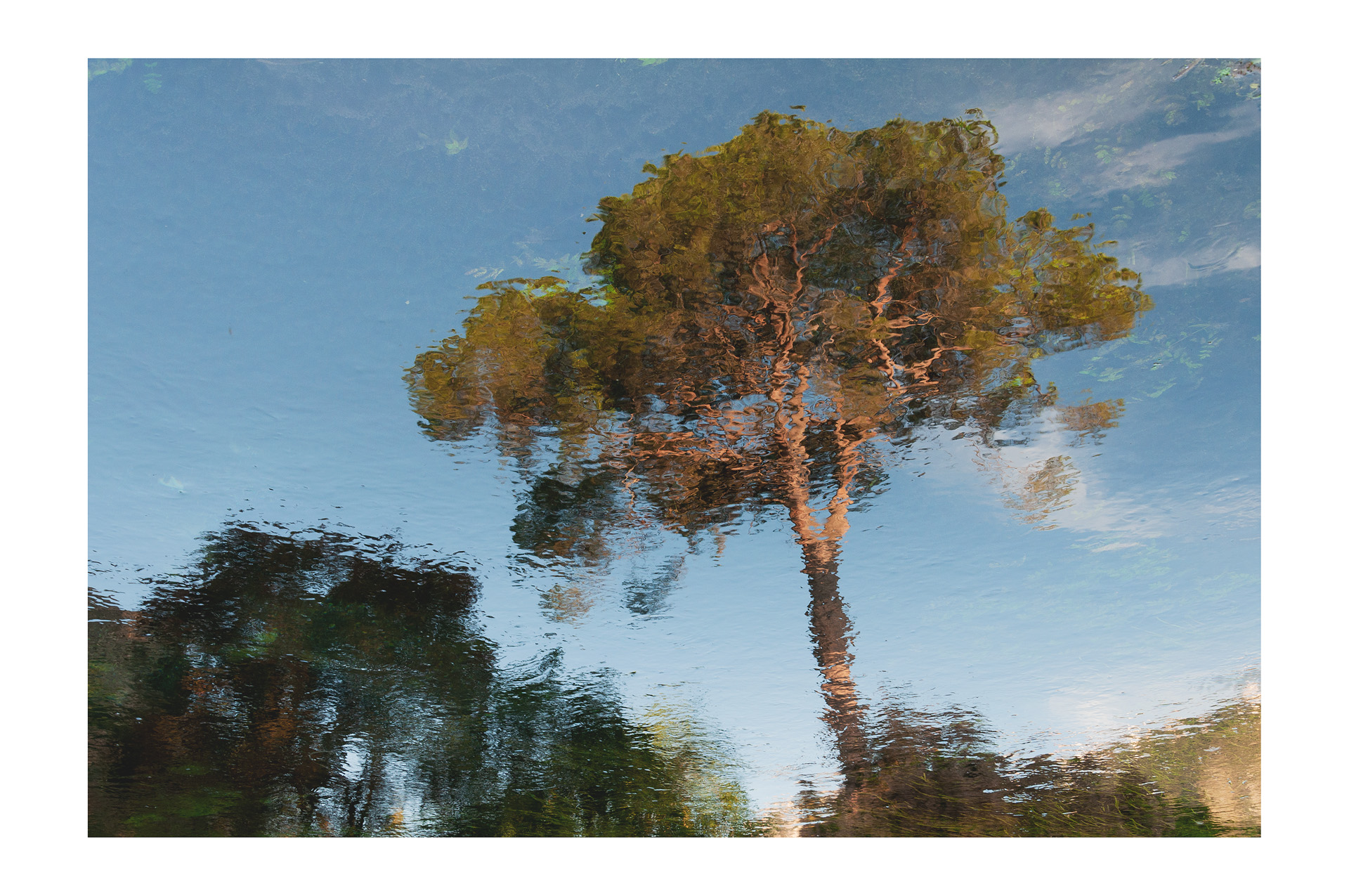 Come un quadro ad olio