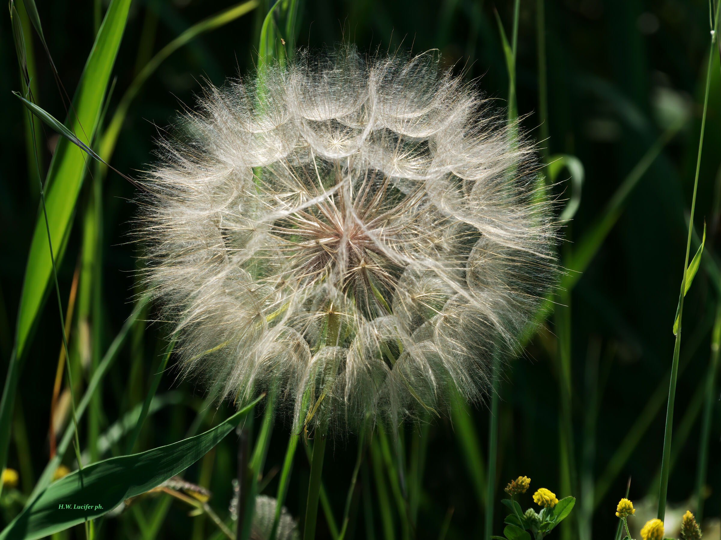 Splendors of Sant'Erasmo