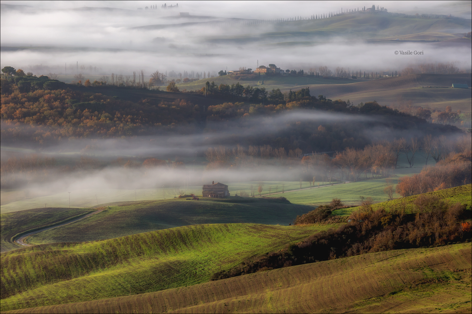 Colline nebbiose della valle di Orcia