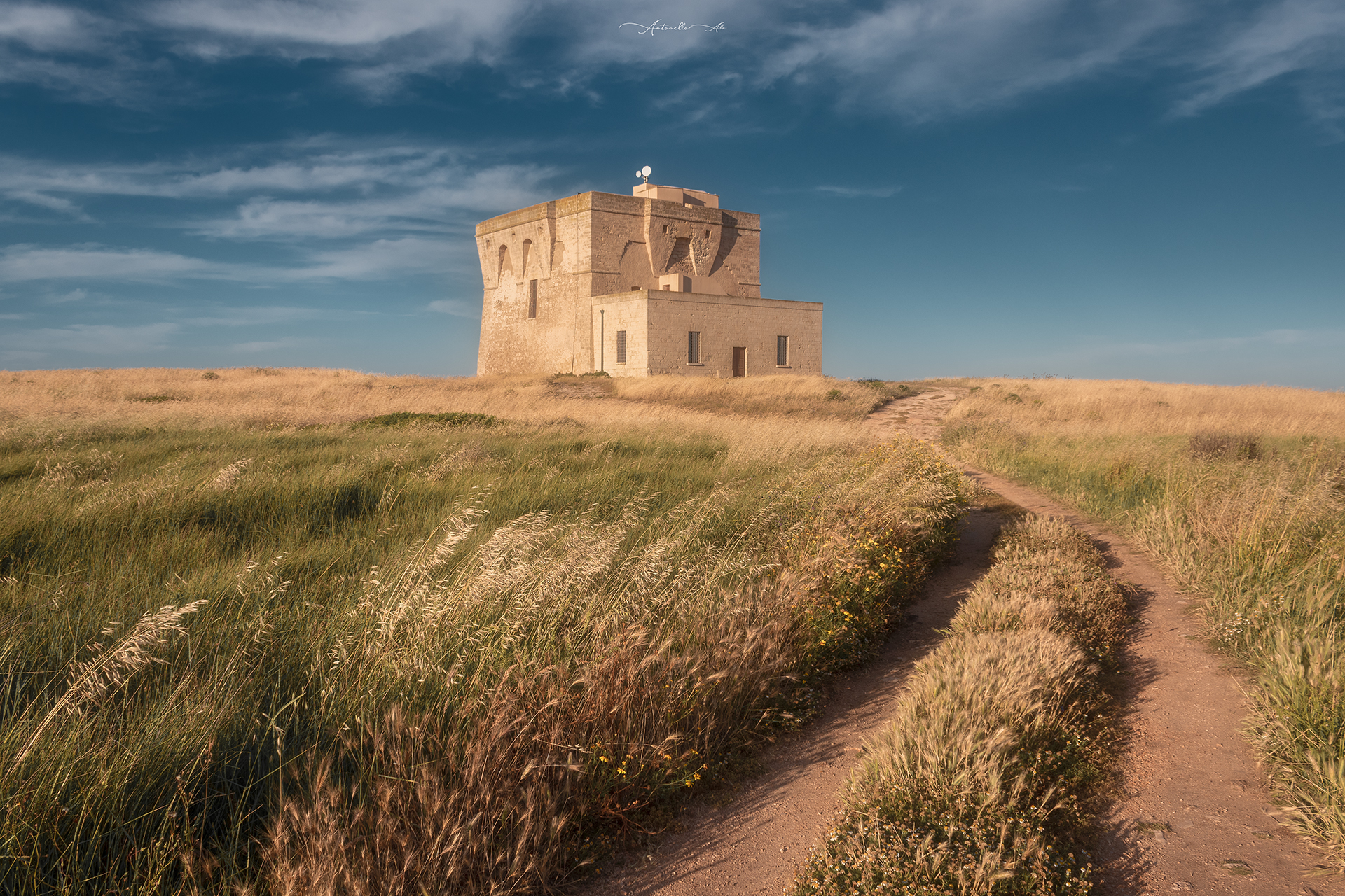 Aragonese Tower of Torre Guaceto