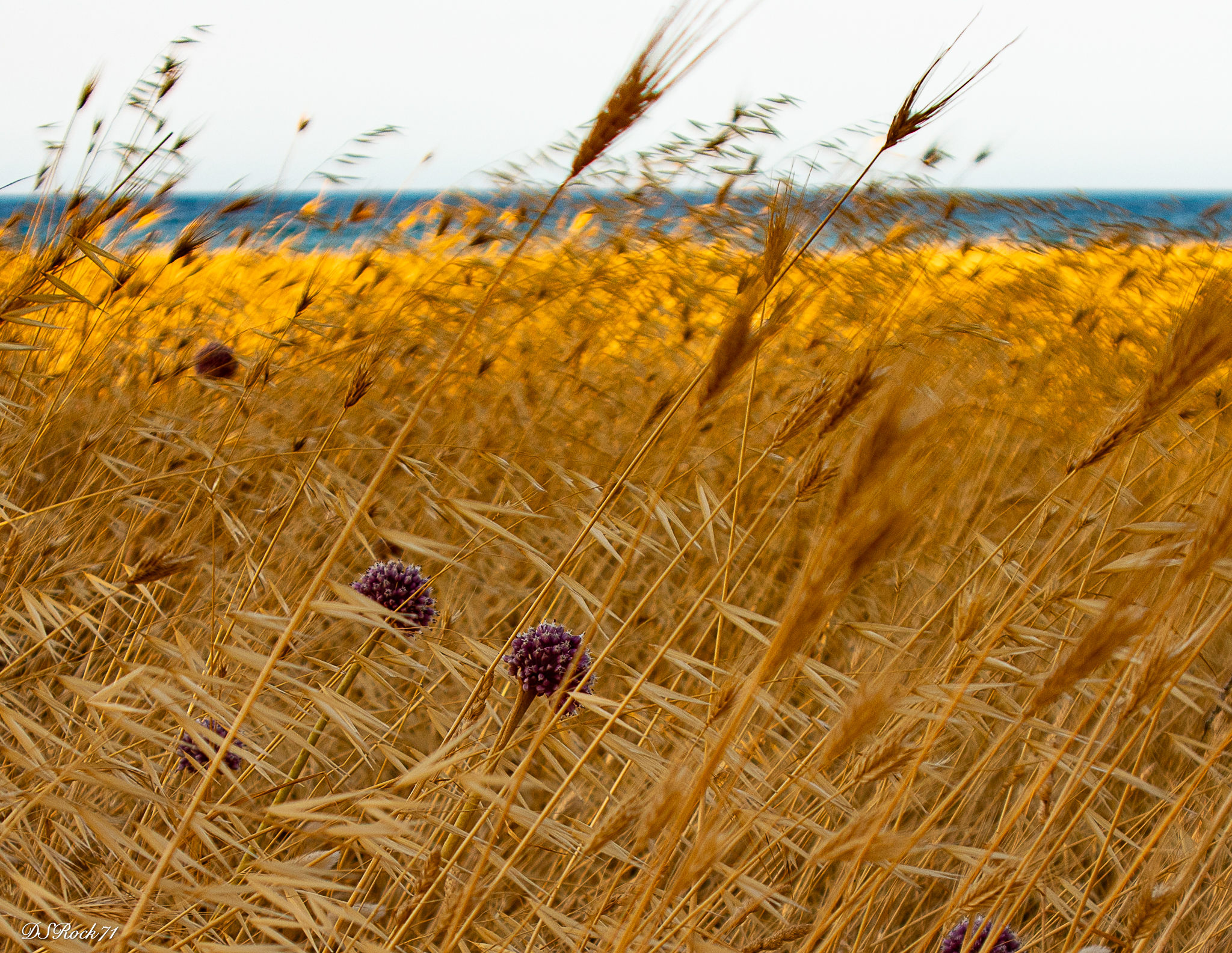 puglia