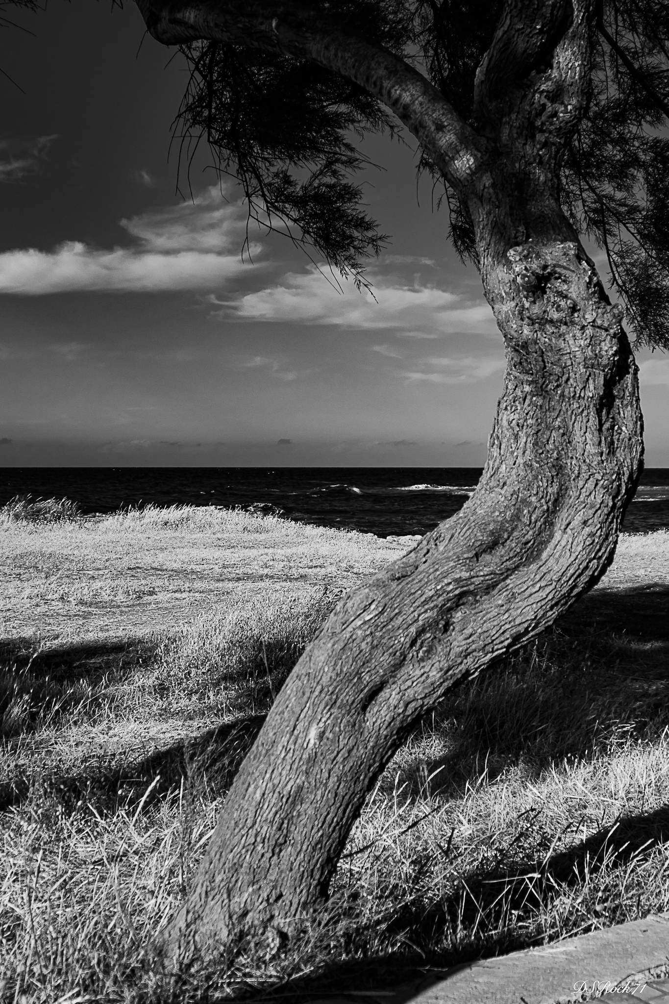 puglia b&w